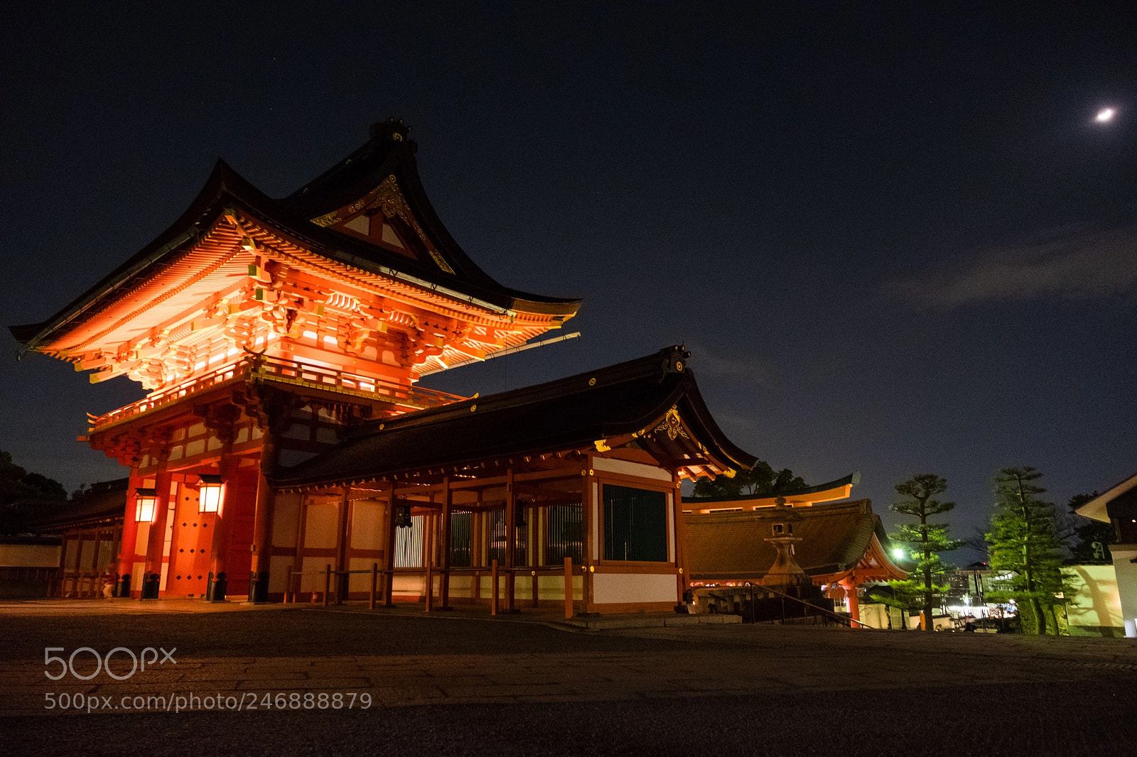 Fujifilm X-T20 sample photo. Untitled photography