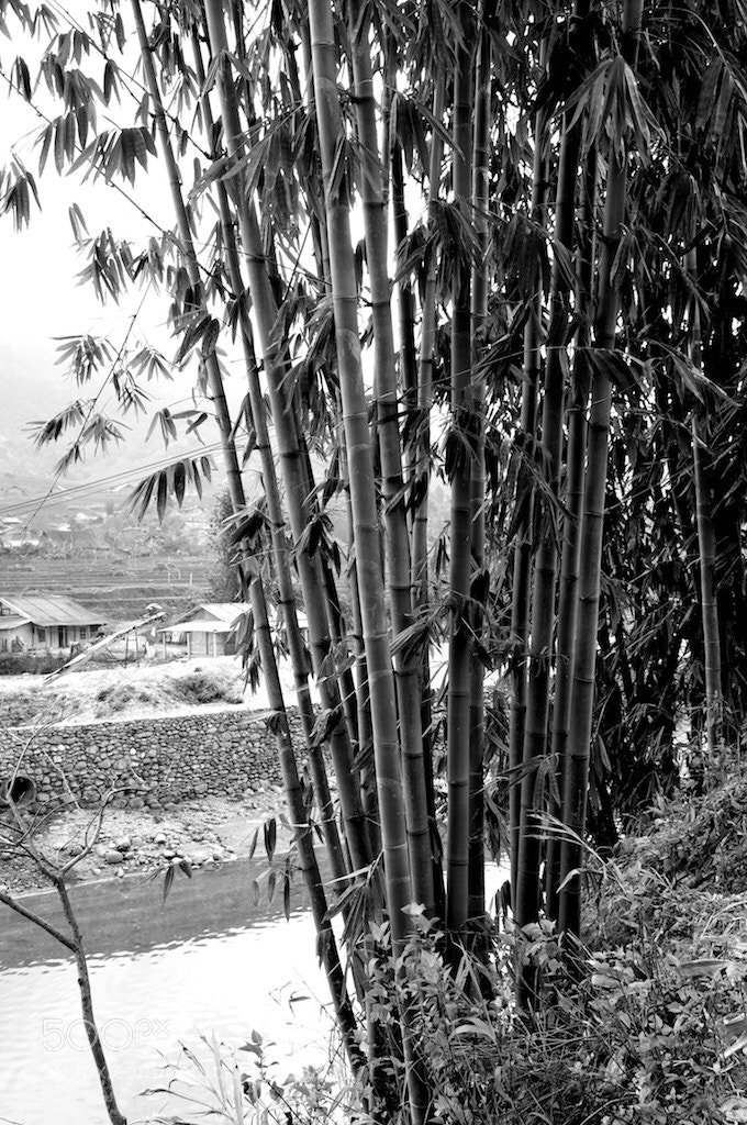 Nikon D300S sample photo. Sapa, north vietnam photography