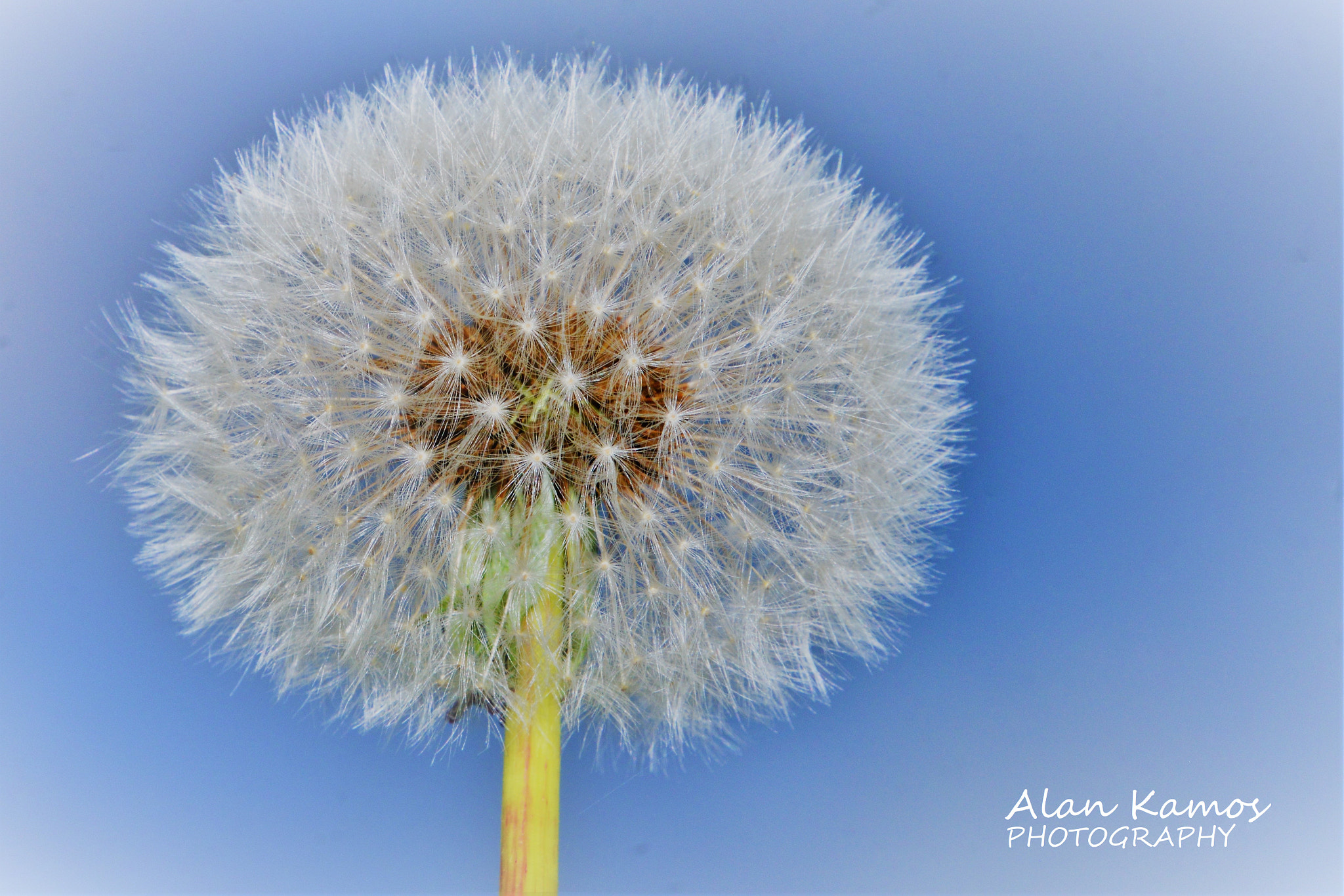 Nikon D5200 sample photo