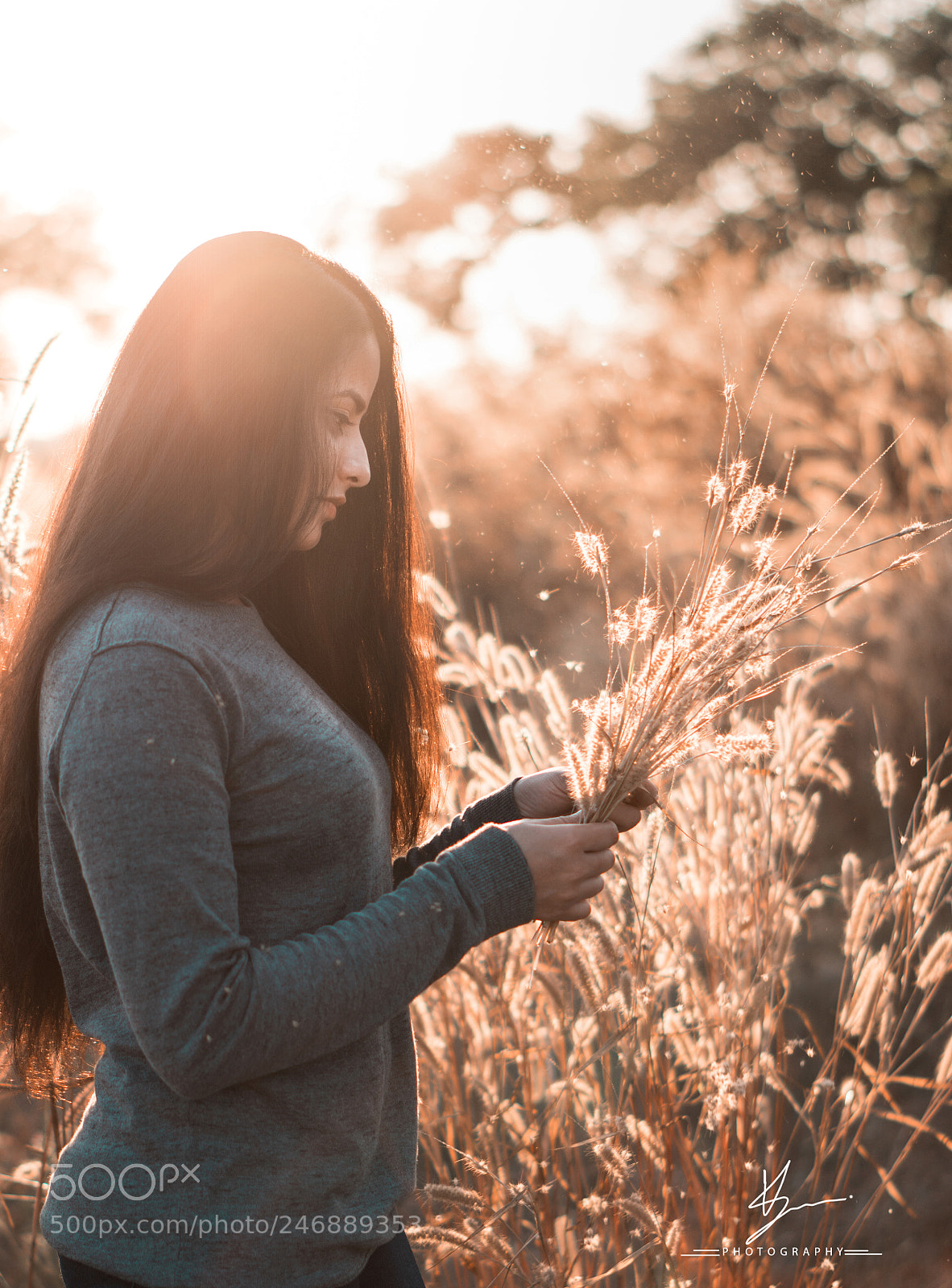 Sony a6300 sample photo. Sunkissed photography