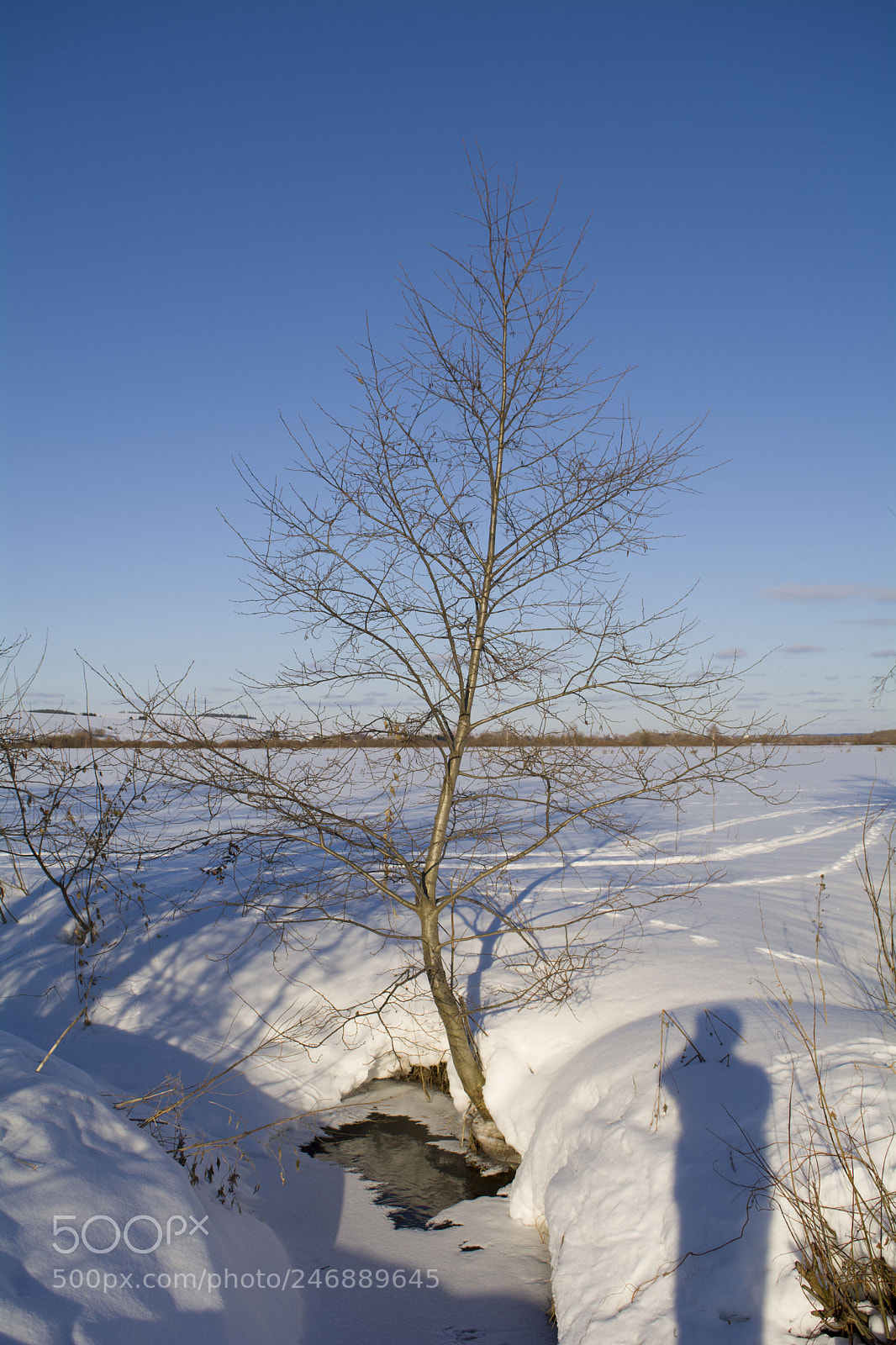 Nikon D5200 sample photo. Shadows ... photography