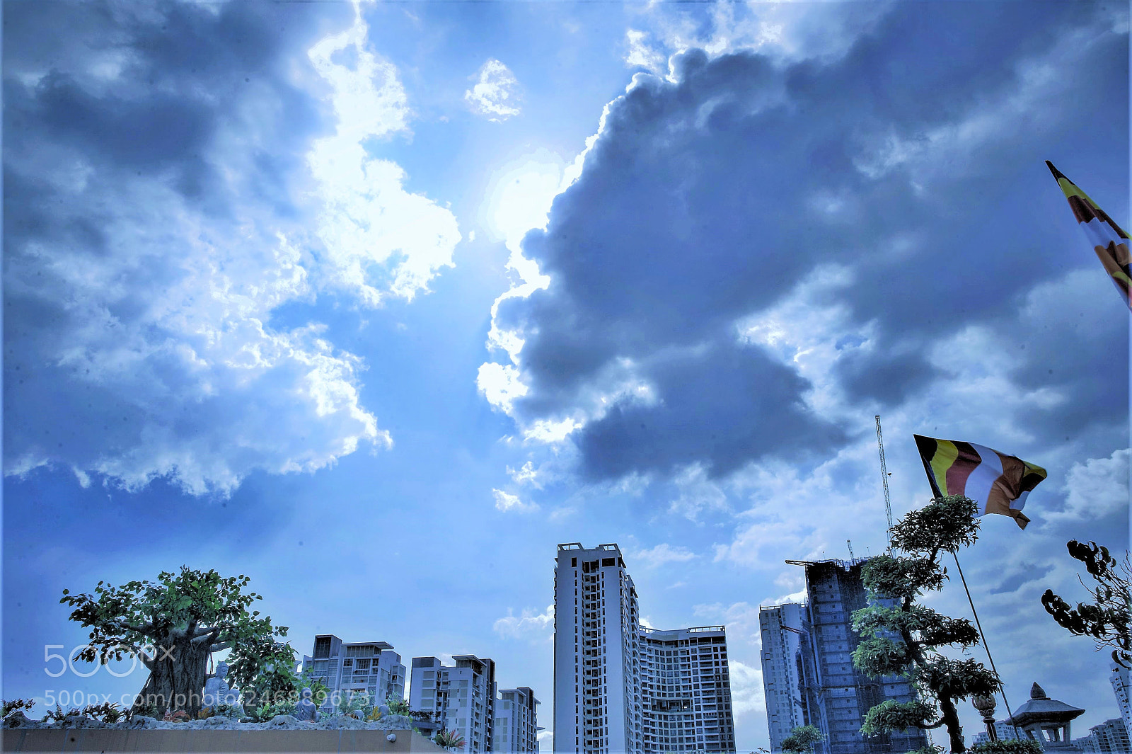 Nikon D700 sample photo. Under ficus religiosa photography