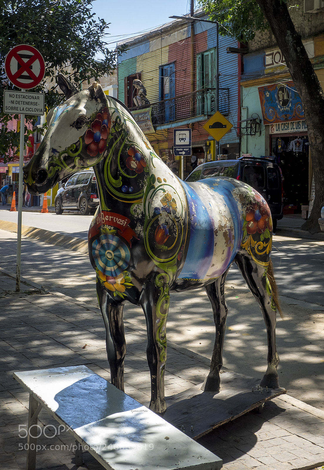 Olympus OM-D E-M1 sample photo. Caballo fileteado photography