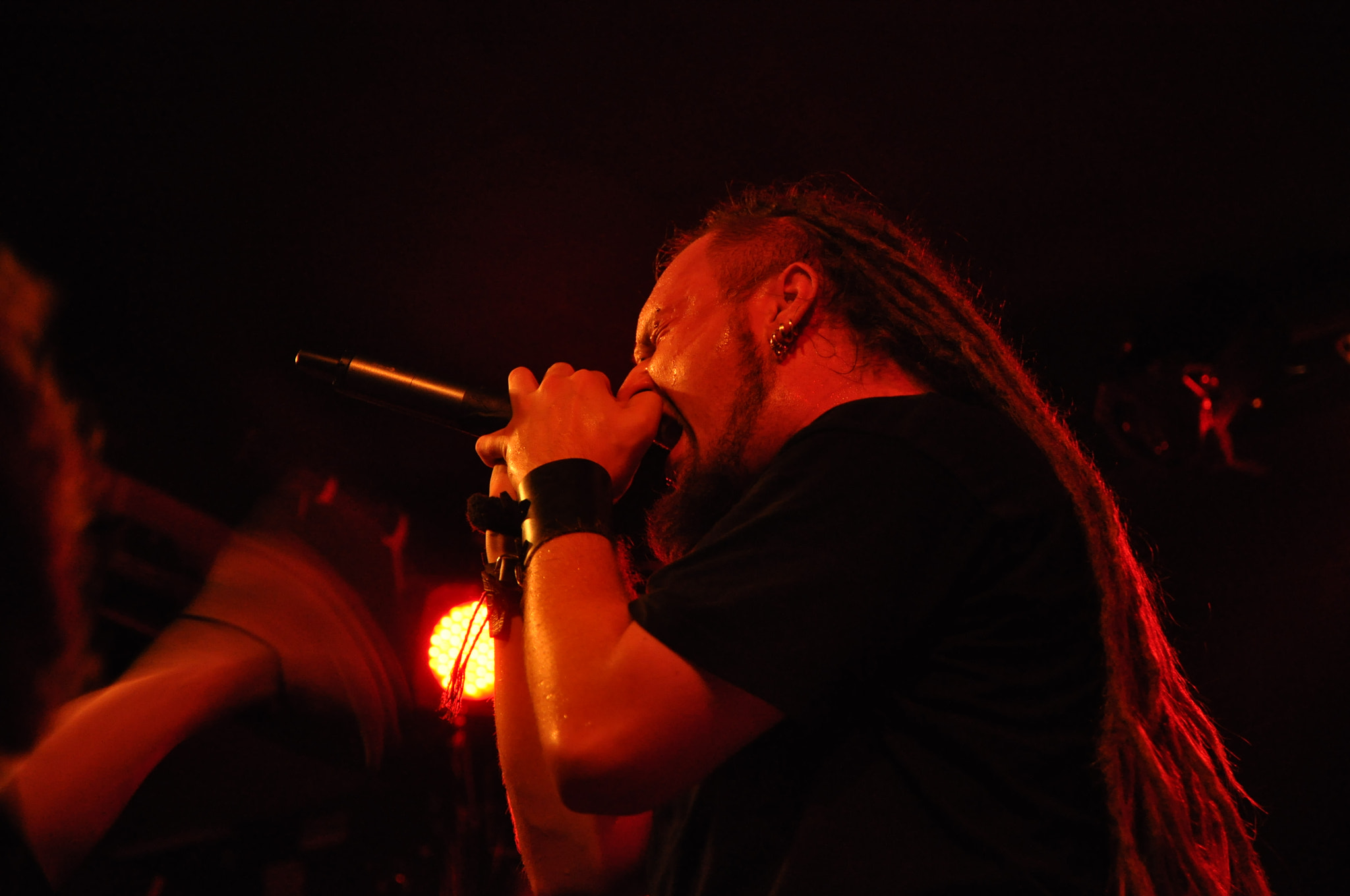 Nikon D90 sample photo. Decapitated photography