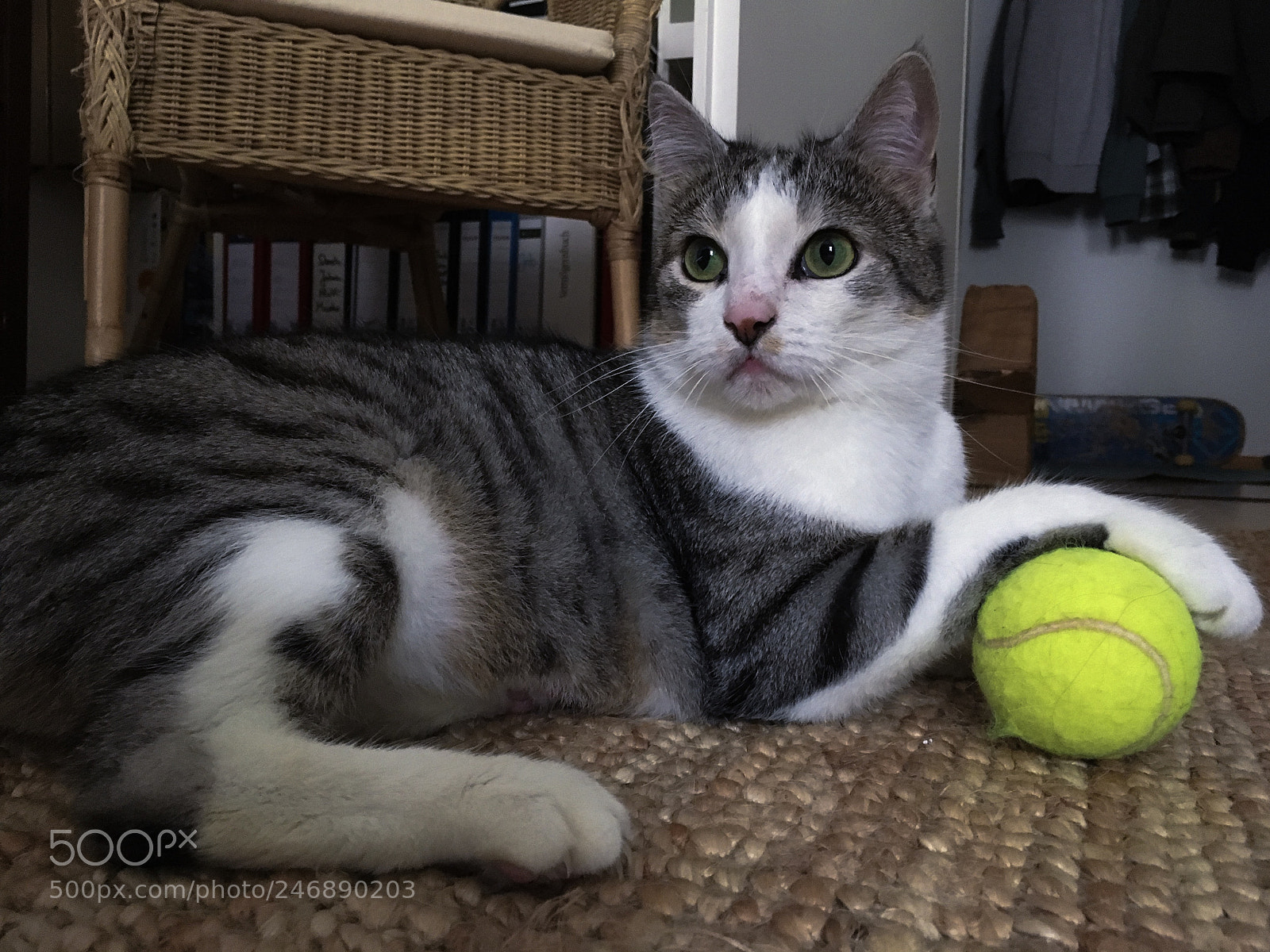 Apple iPhone 6s sample photo. Playtime photography