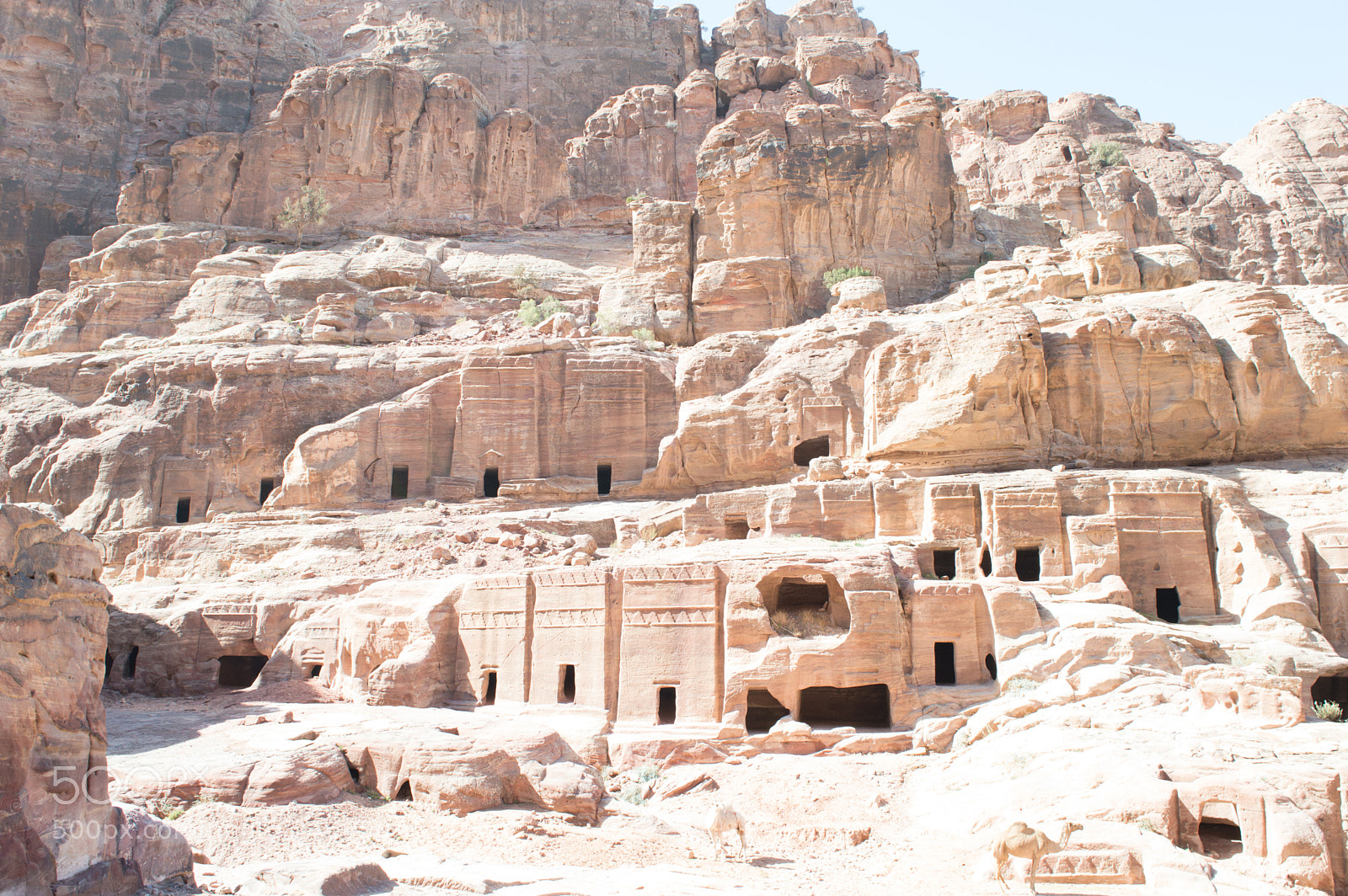 Nikon D3200 sample photo. Trip petra 2018 photography