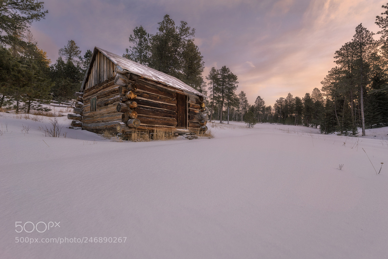 Sony a99 II sample photo. Cabin in the woods photography