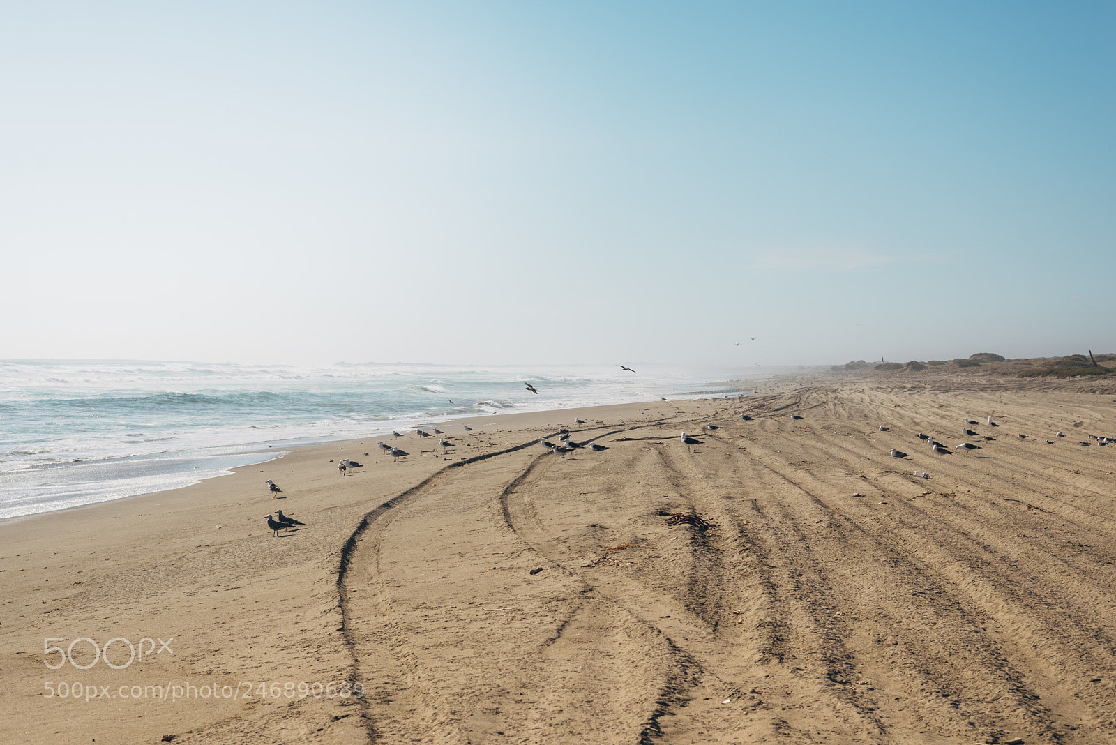 Nikon D610 sample photo. Plage isolée photography