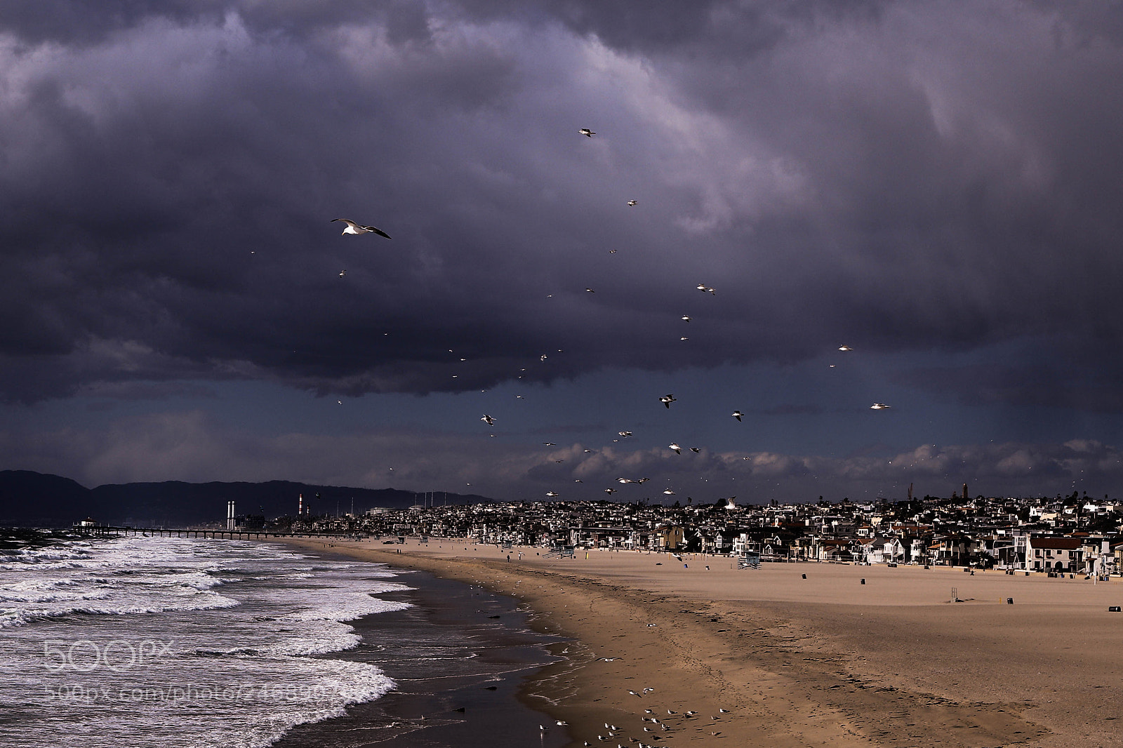 Canon EOS 6D Mark II sample photo. J venes gaviotas aprenden photography