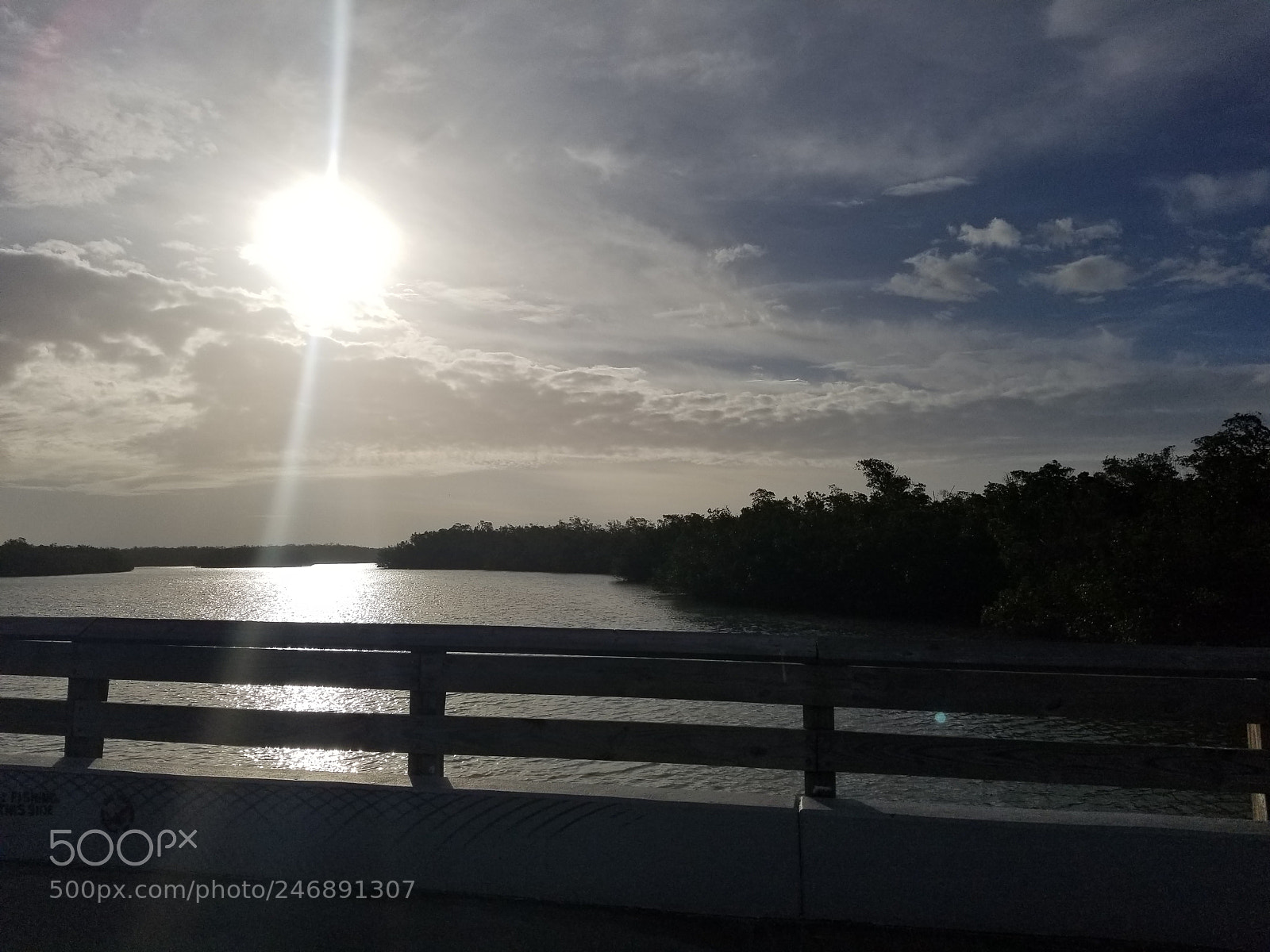 Samsung Galaxy S8+ sample photo. Untitled photography