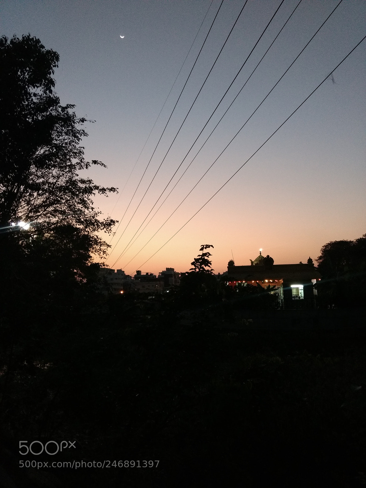 Motorola Moto G (4) sample photo. Untitled photography