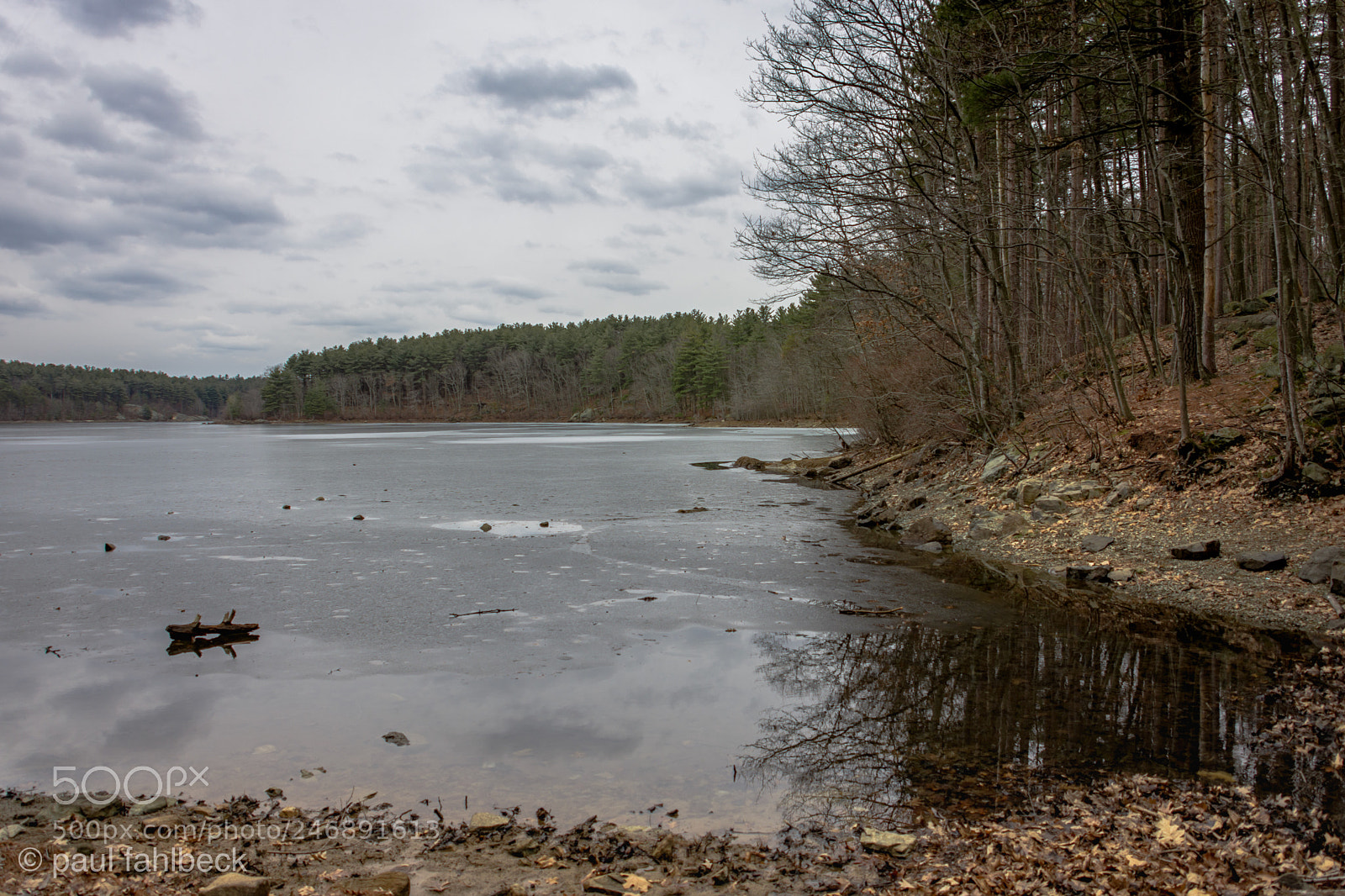Nikon D7200 sample photo. February photography
