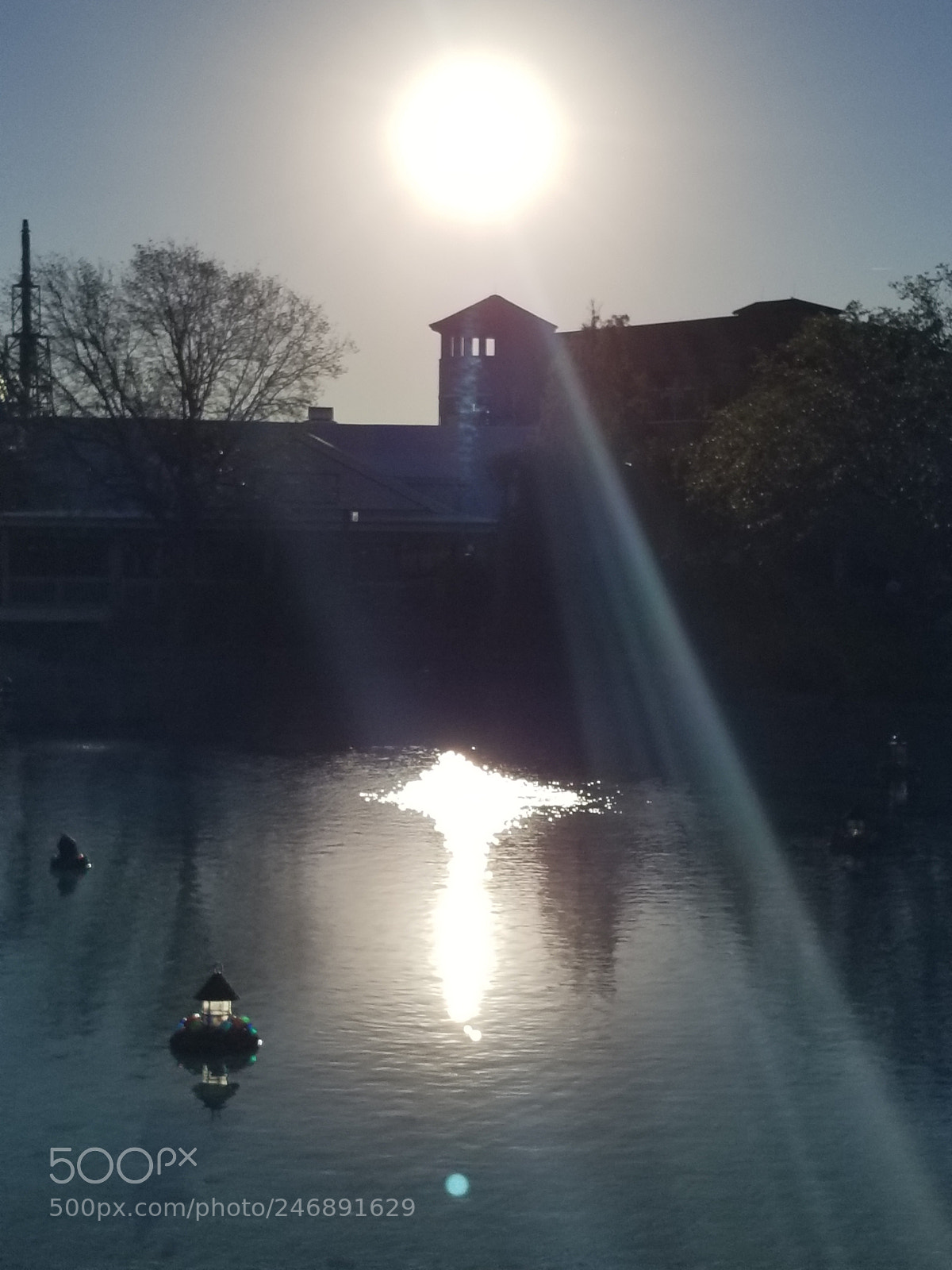 Samsung Galaxy S8+ sample photo. Untitled photography