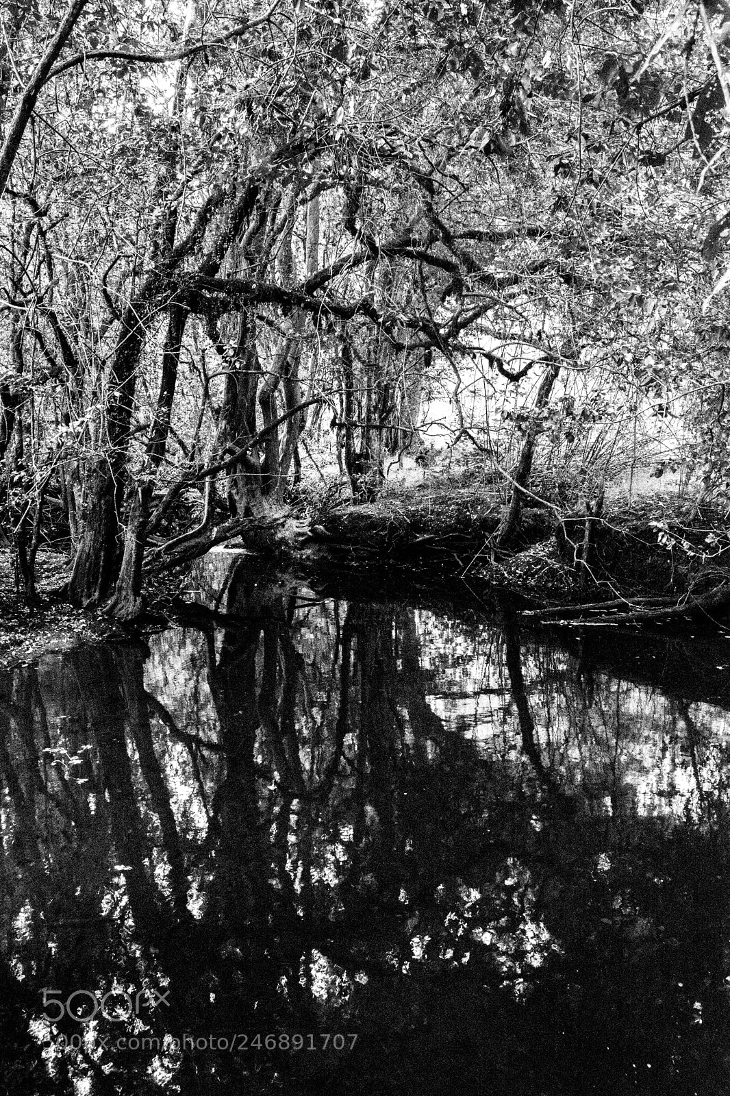 Nikon D5200 sample photo. Contrast photography