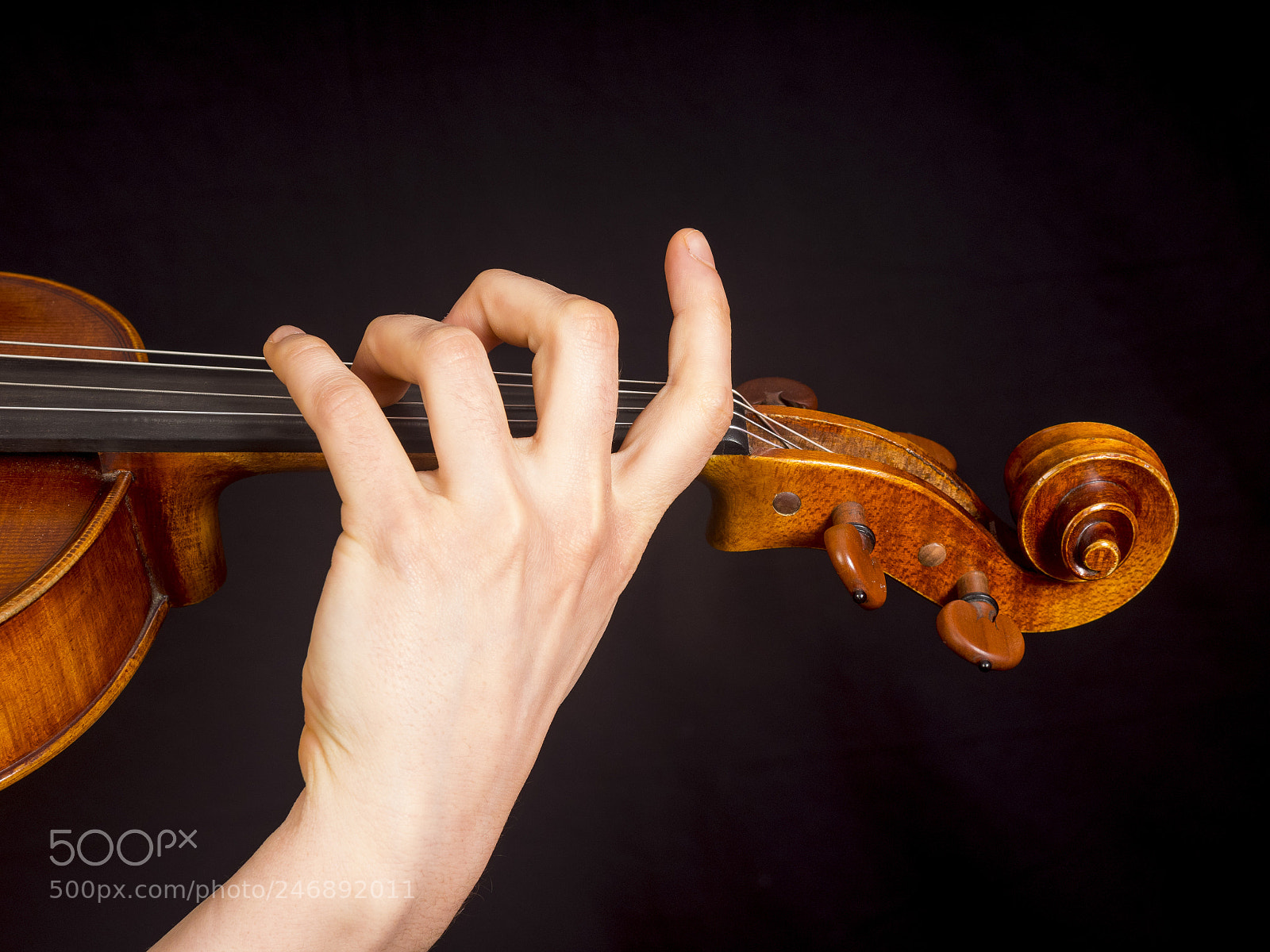 Olympus OM-D E-M1 sample photo. The viola photography