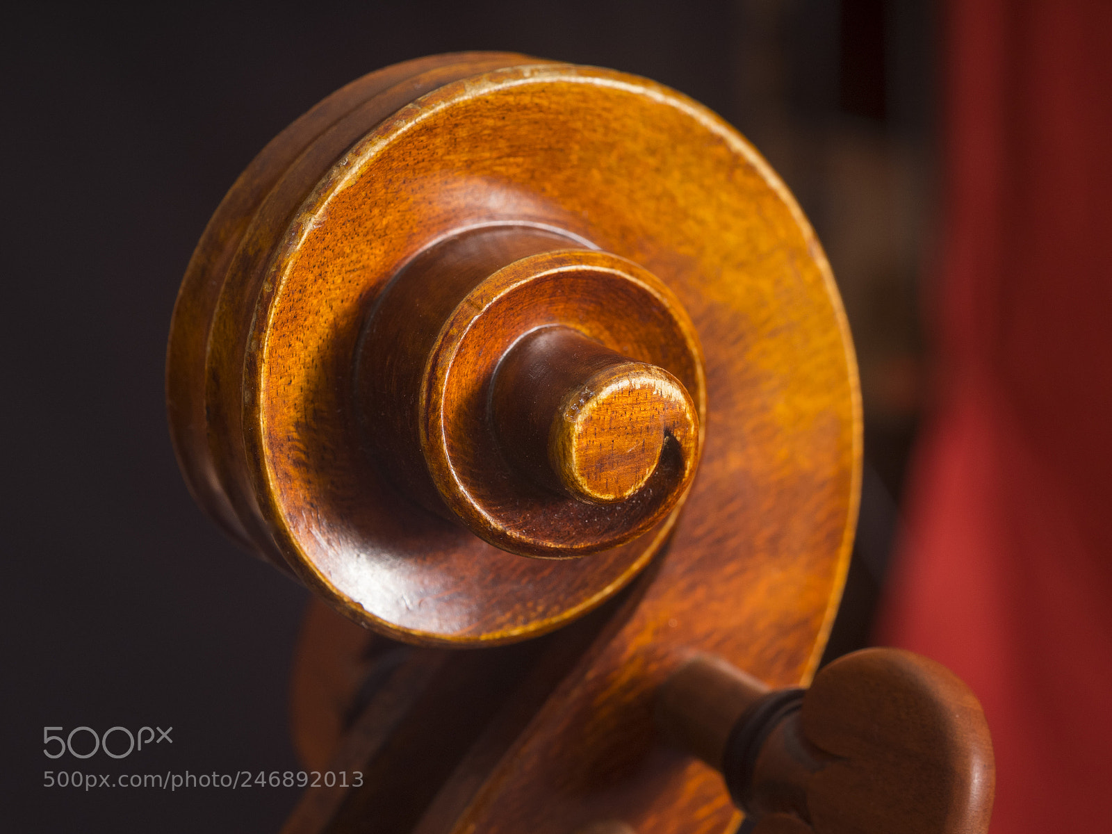 Olympus OM-D E-M1 sample photo. The viola photography
