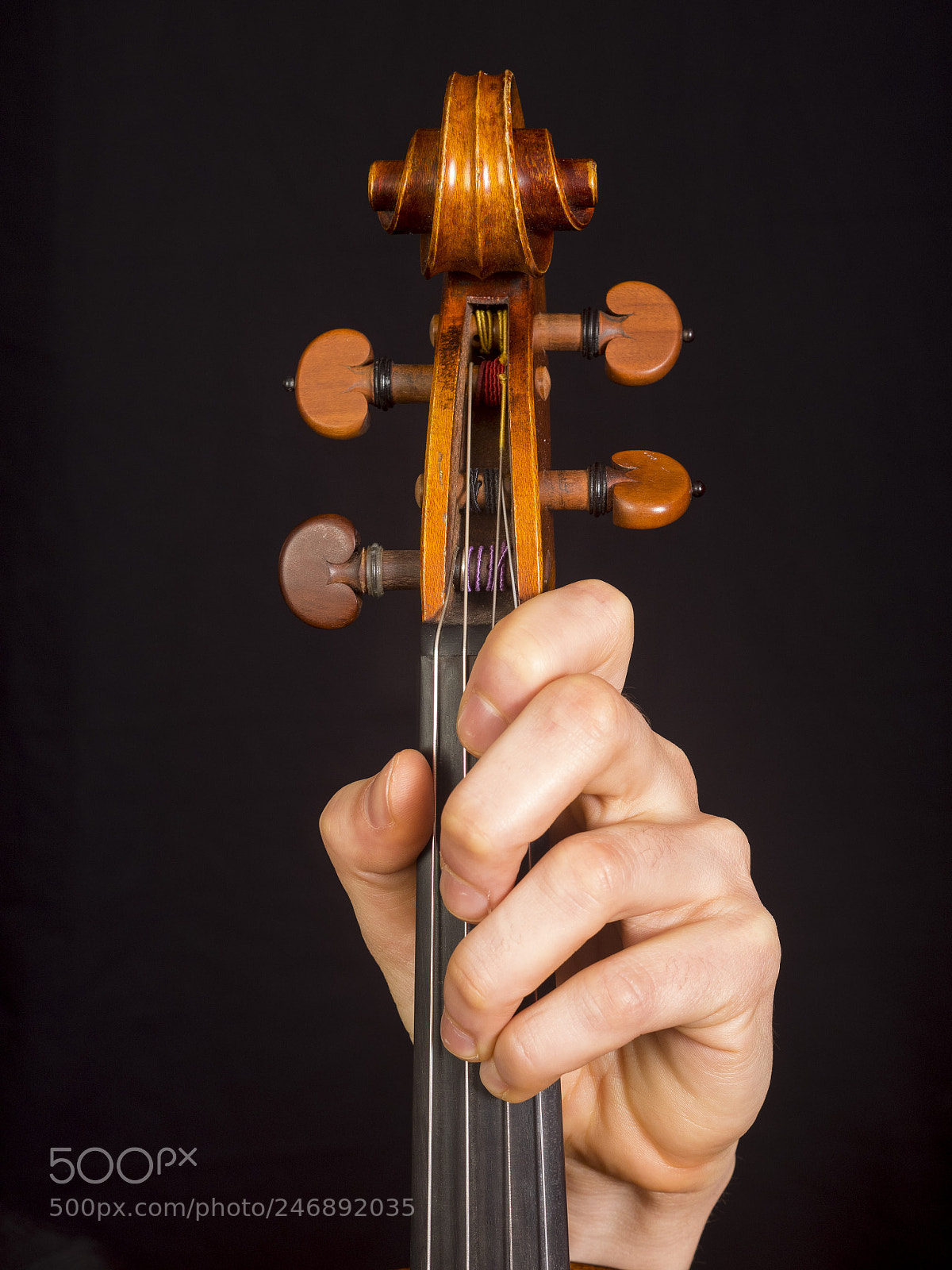 Olympus OM-D E-M1 sample photo. The viola photography