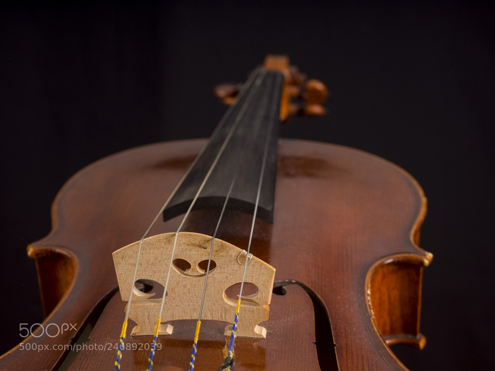 Olympus OM-D E-M1 sample photo. The viola photography