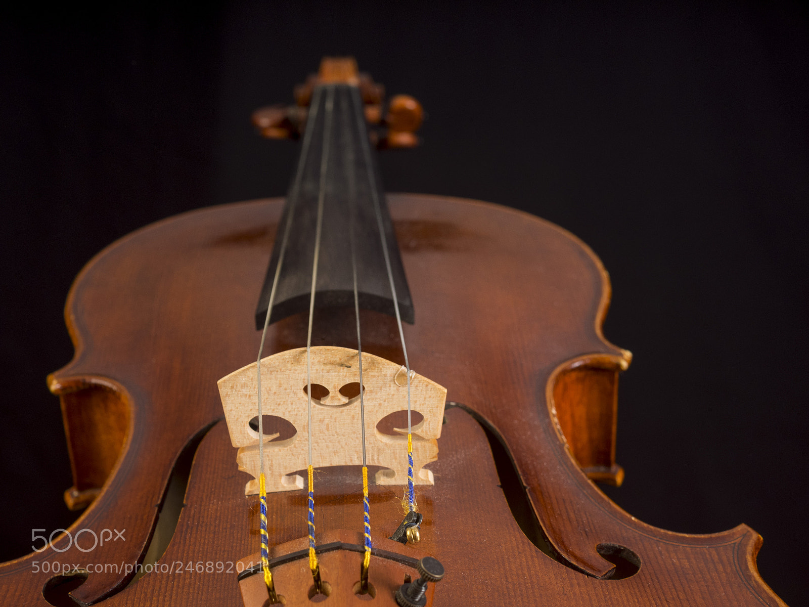 Olympus OM-D E-M1 sample photo. The viola photography