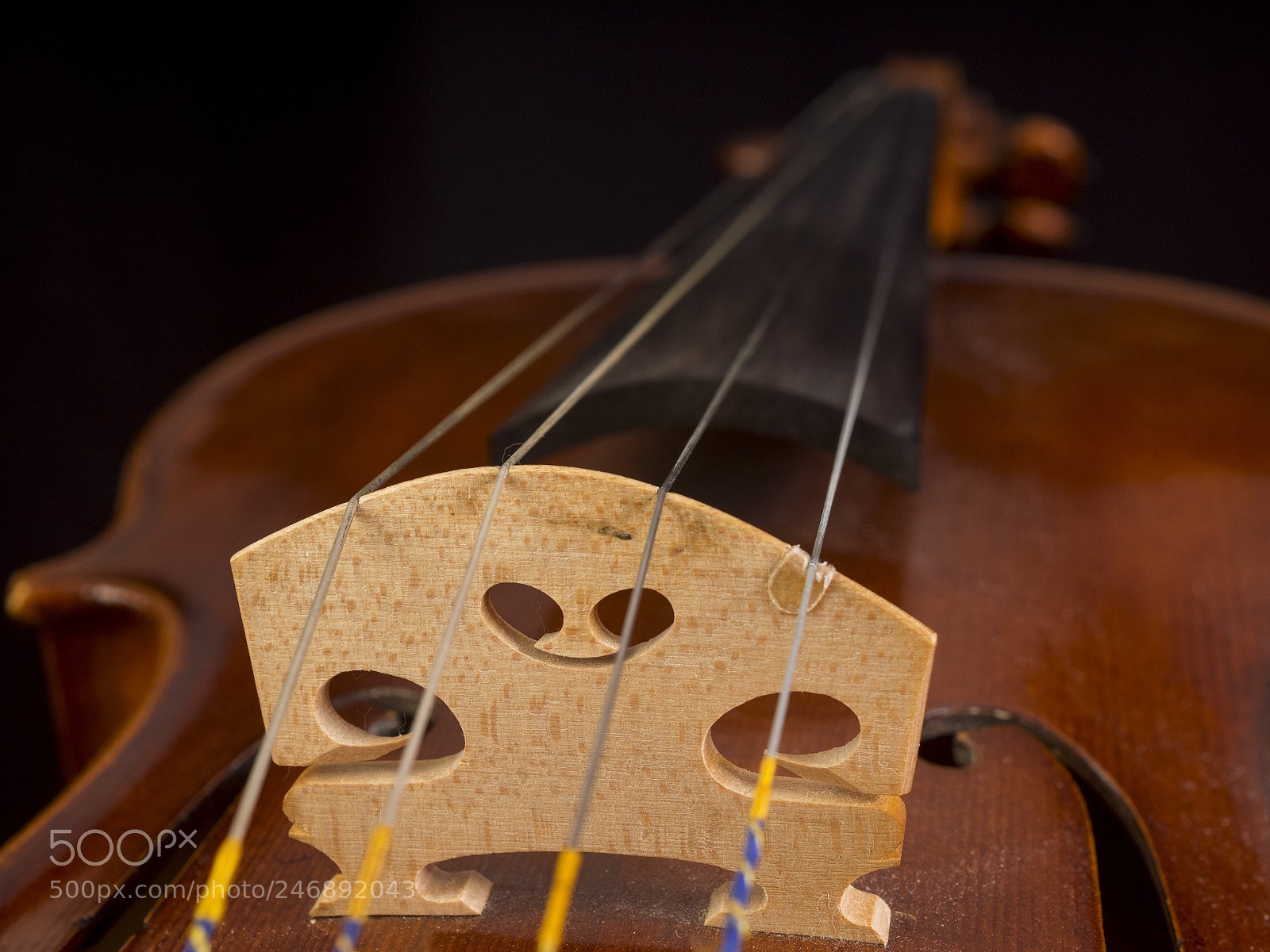 Olympus OM-D E-M1 sample photo. The viola photography