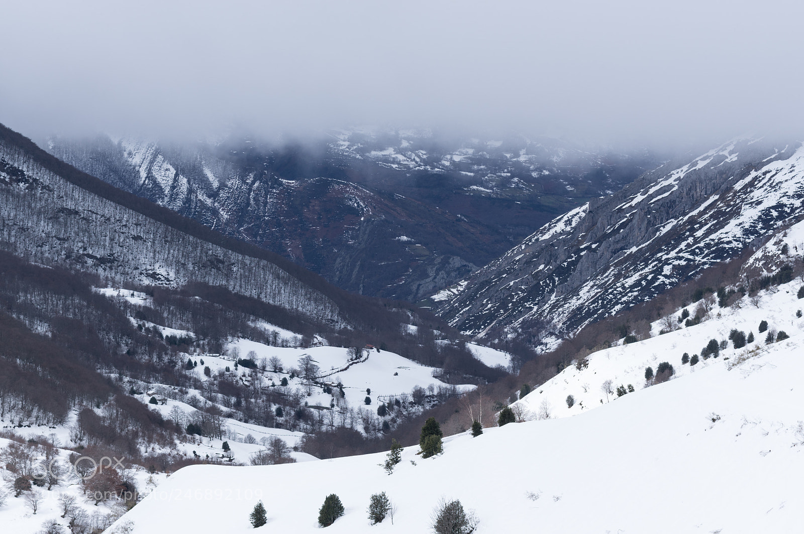 Pentax K-3 II sample photo. Valley between snow and photography