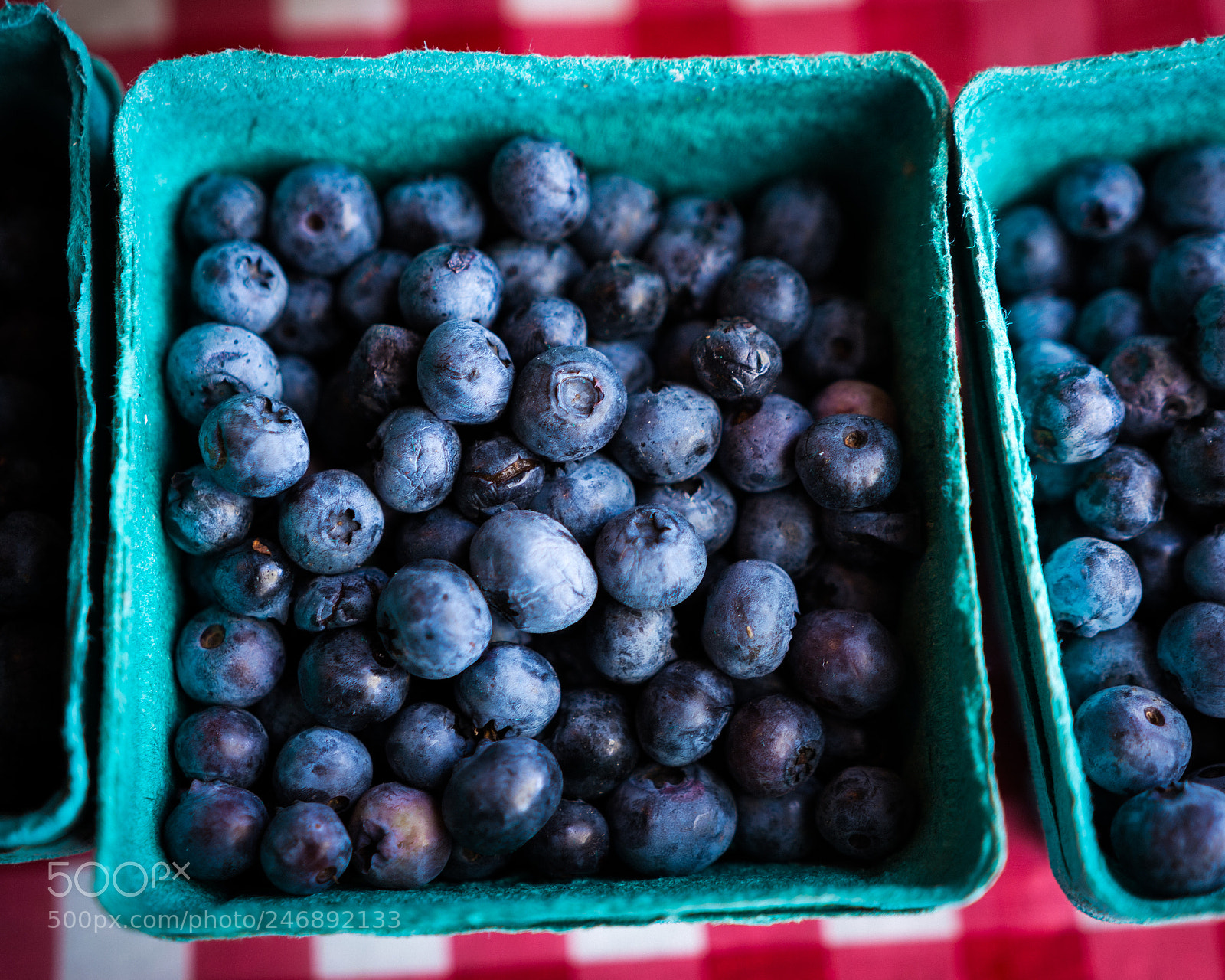 Nikon D7100 sample photo. 36455667455.jpg photography