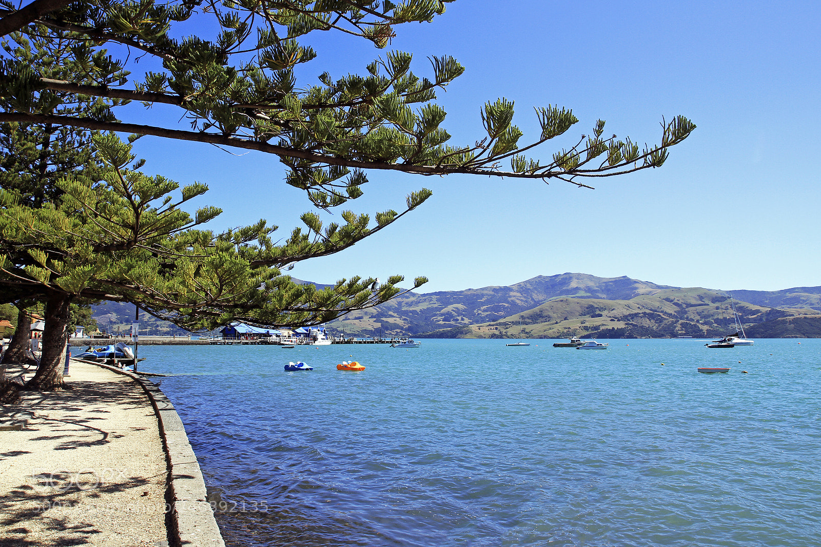 Canon EOS 7D sample photo. Akaroa photography