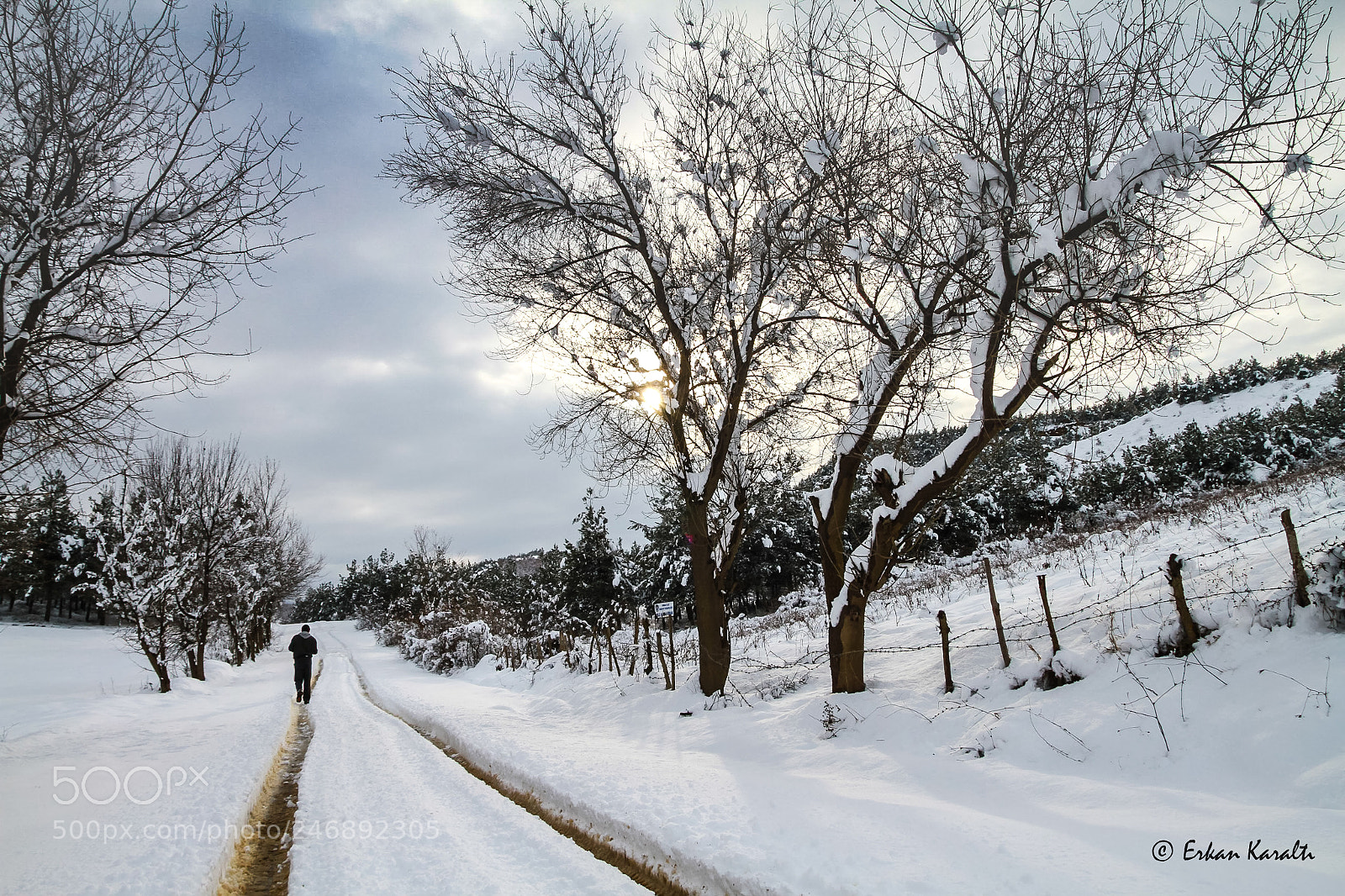 Canon EOS 7D sample photo. White road photography