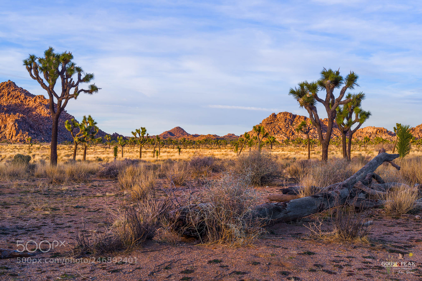 Sony a7R sample photo. Twenty minutes before sundown photography