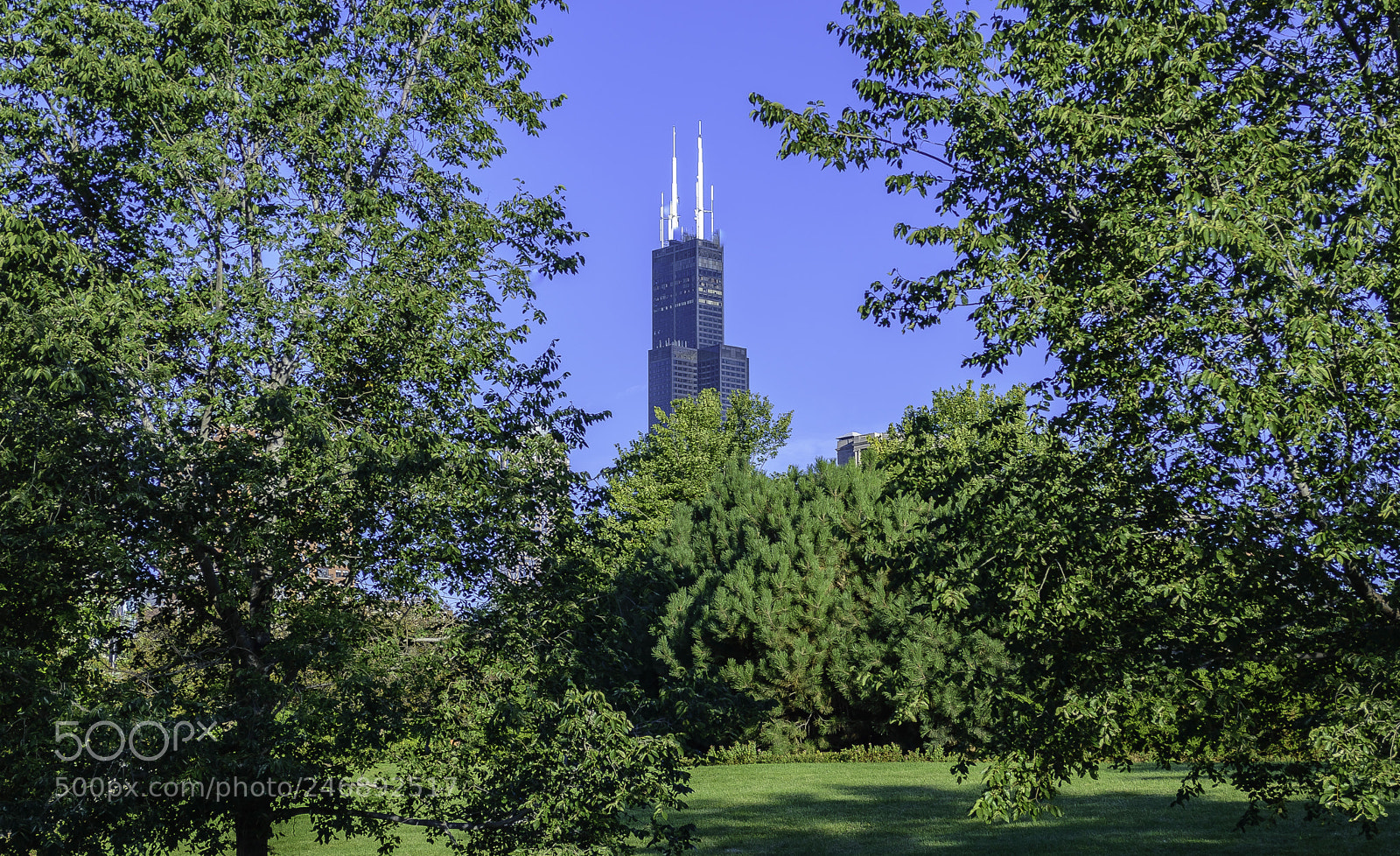 Nikon D3200 sample photo. Sears tower photography