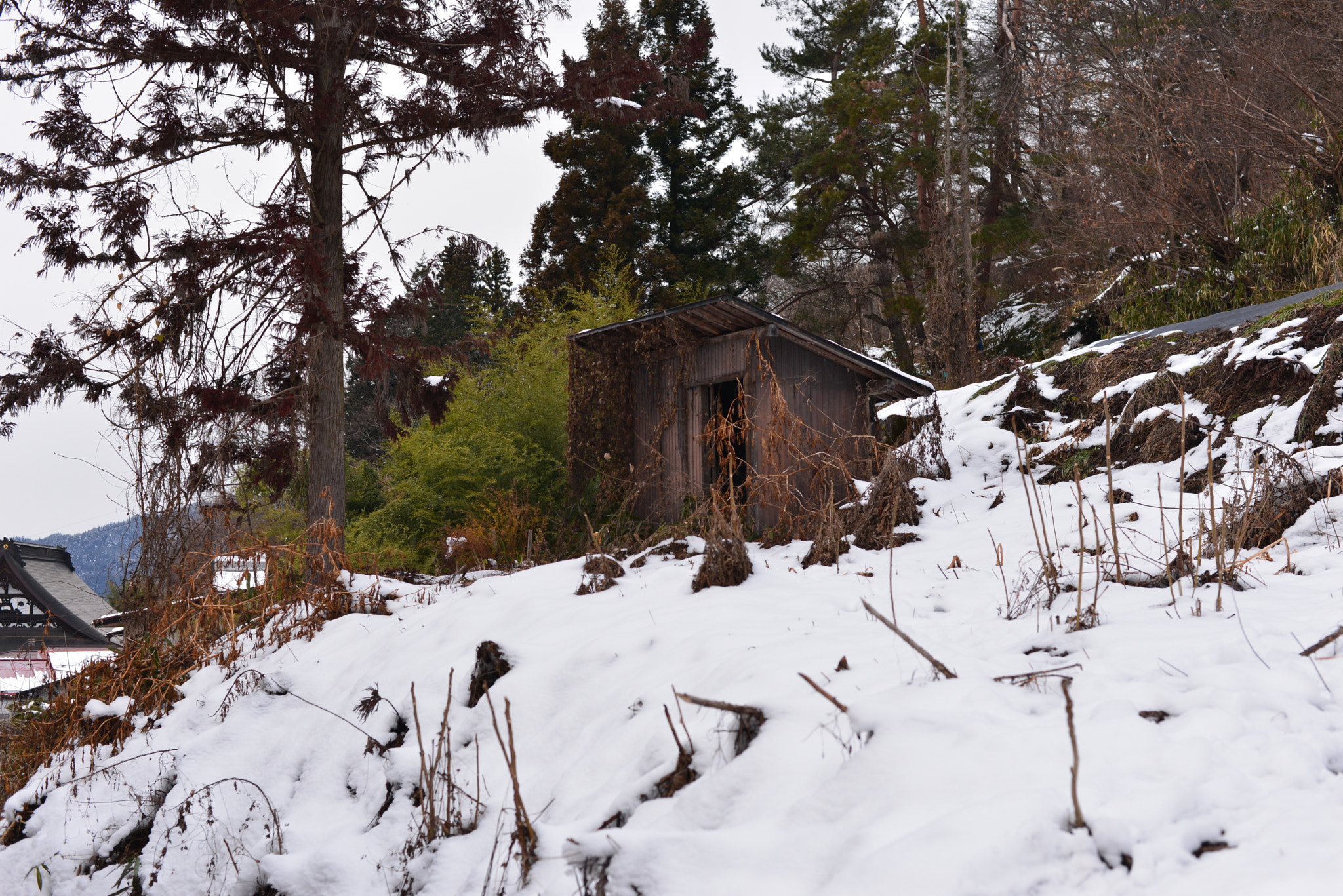 Nikon D610 + Nikon AF-S Nikkor 50mm F1.8G sample photo. Snow hut photography
