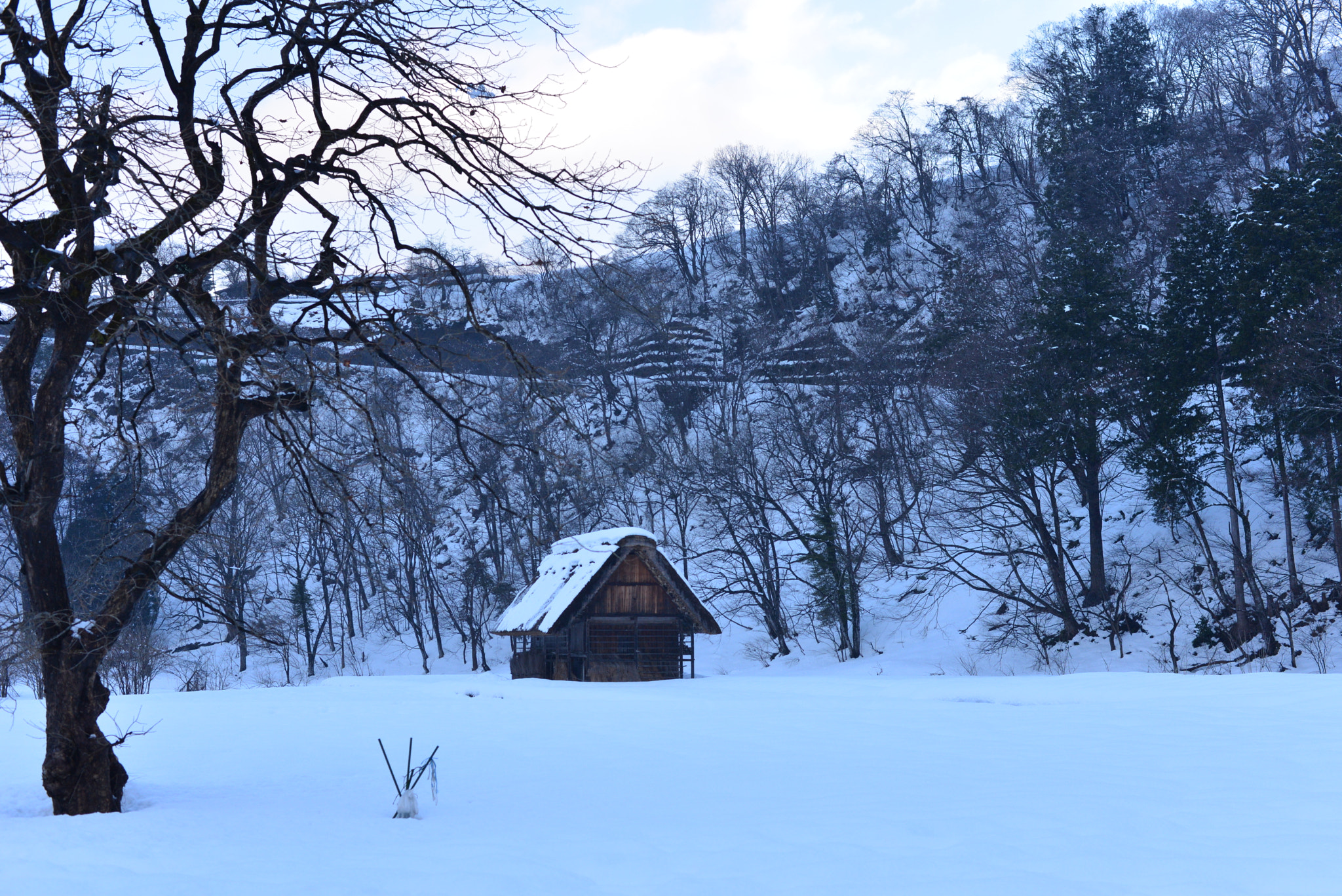 Nikon D610 + Nikon AF-S Nikkor 50mm F1.8G sample photo. Lonely hut photography