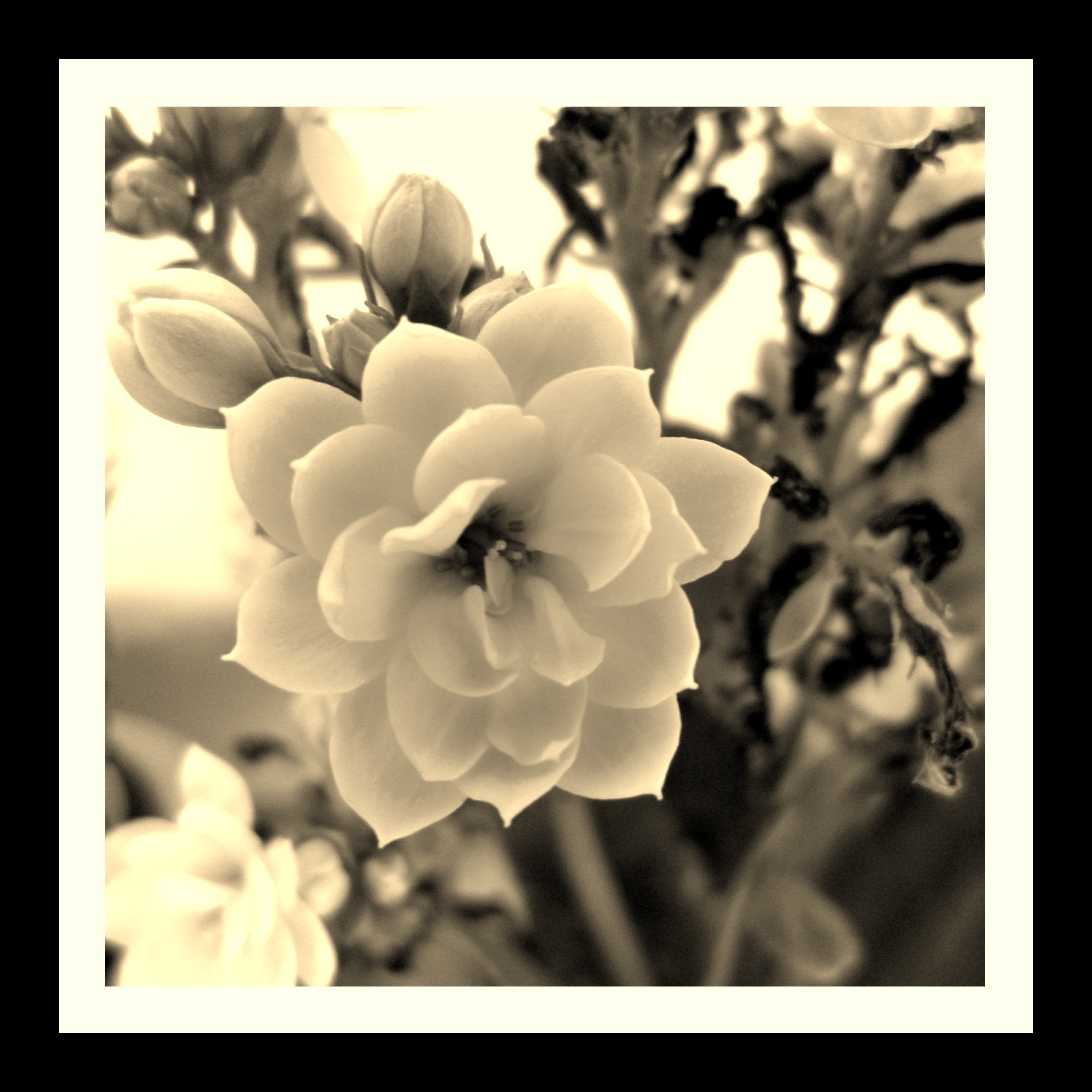 Samsung PL170,PL171 / VLUUPL170,PL171 sample photo