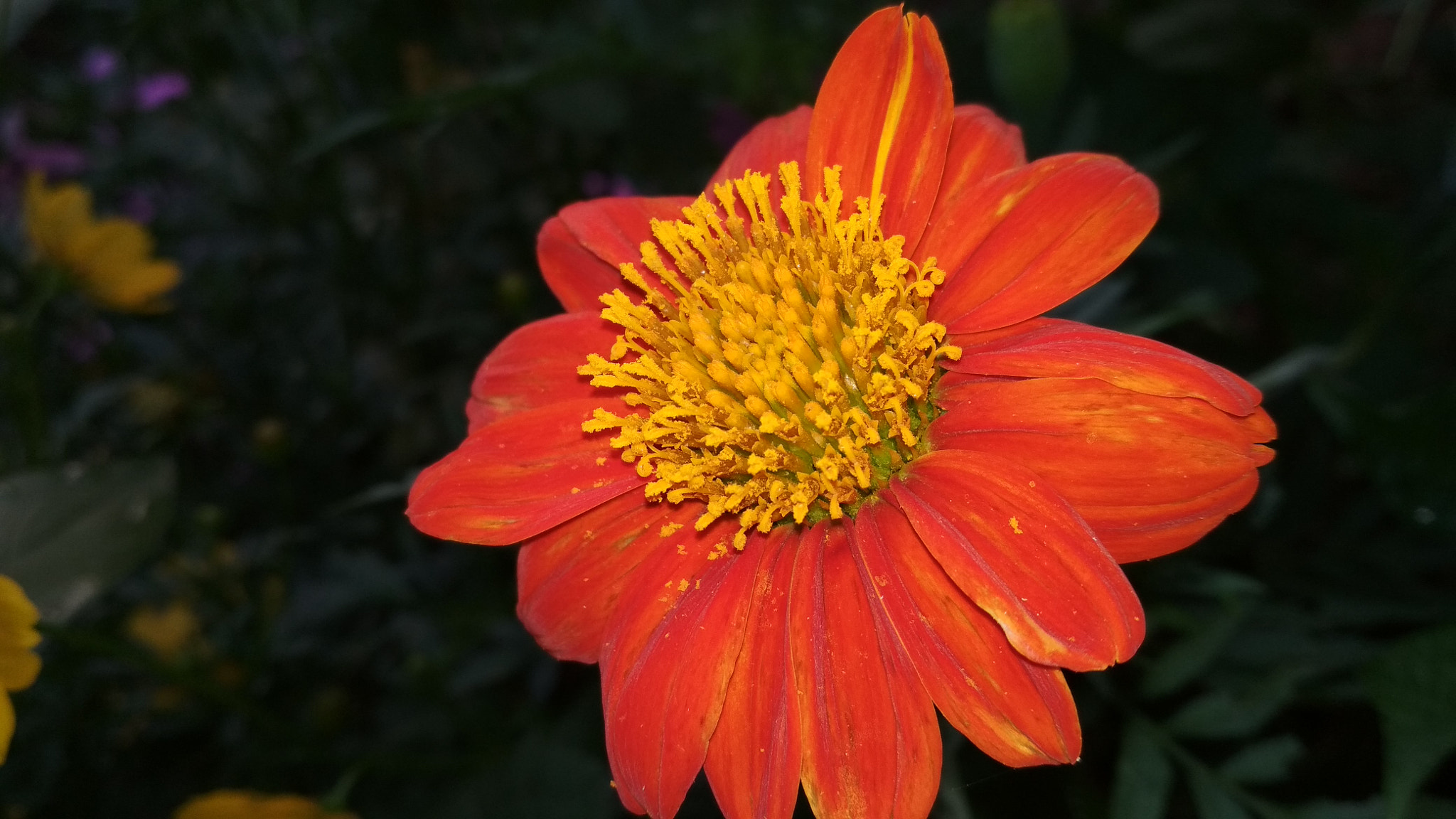 First 500px pic!