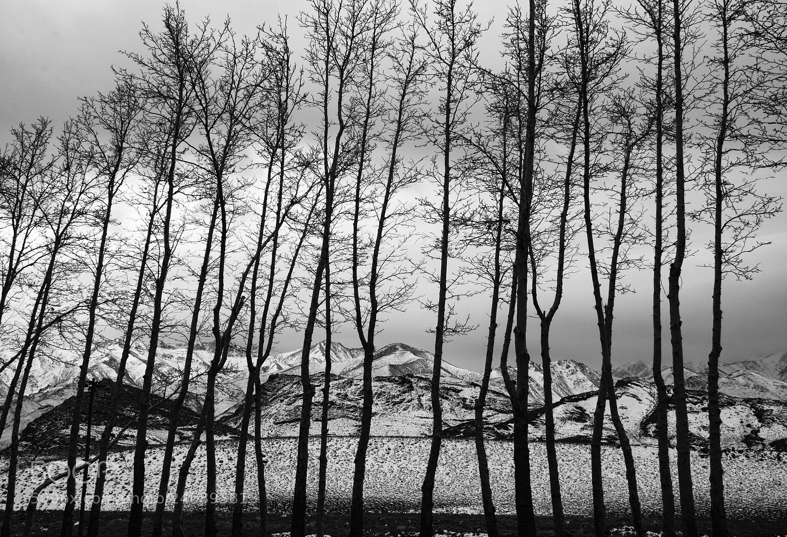 Nikon D90 sample photo. Asart photography