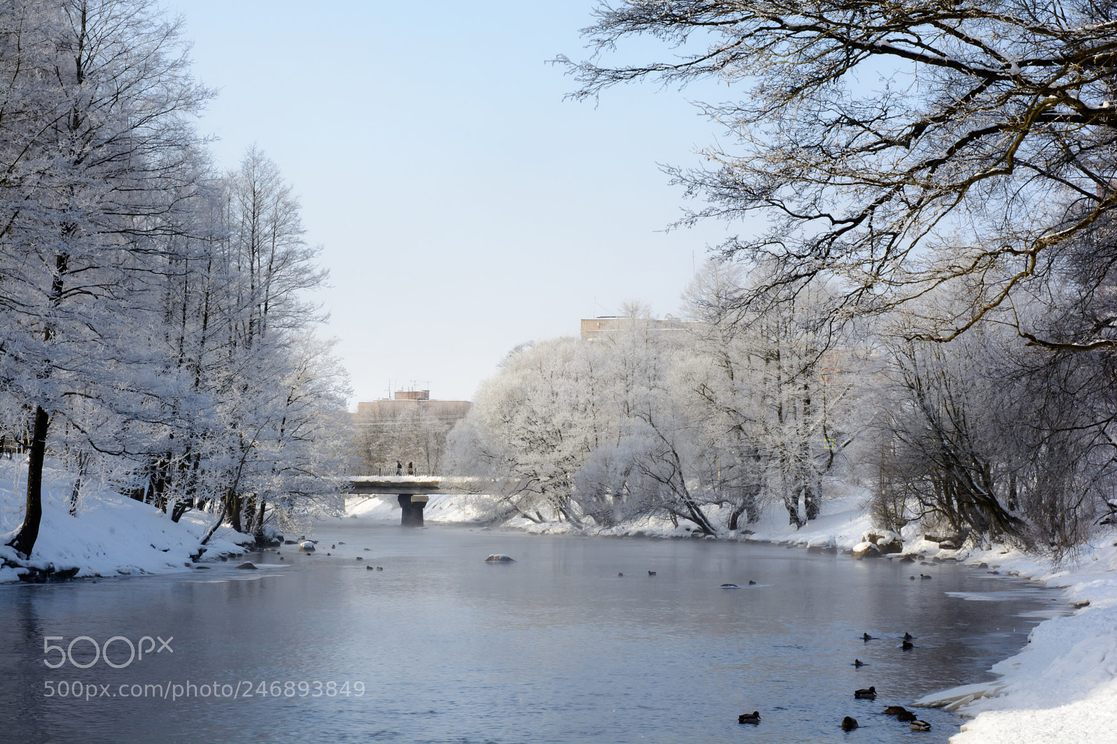 Nikon D7100 sample photo. Suburbs, winter, hoarfrost on photography