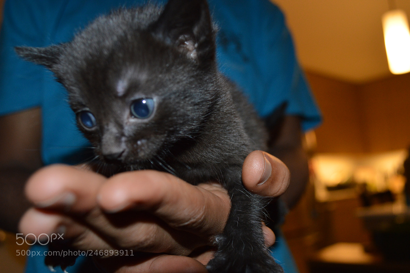 Nikon D3200 sample photo. Baby #1 photography