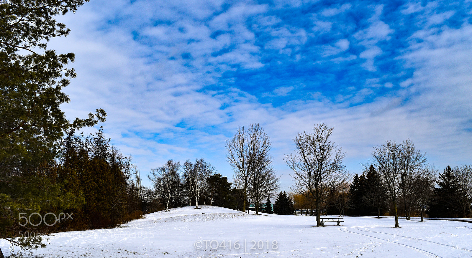 Nikon D5500 sample photo. Mississauga photography