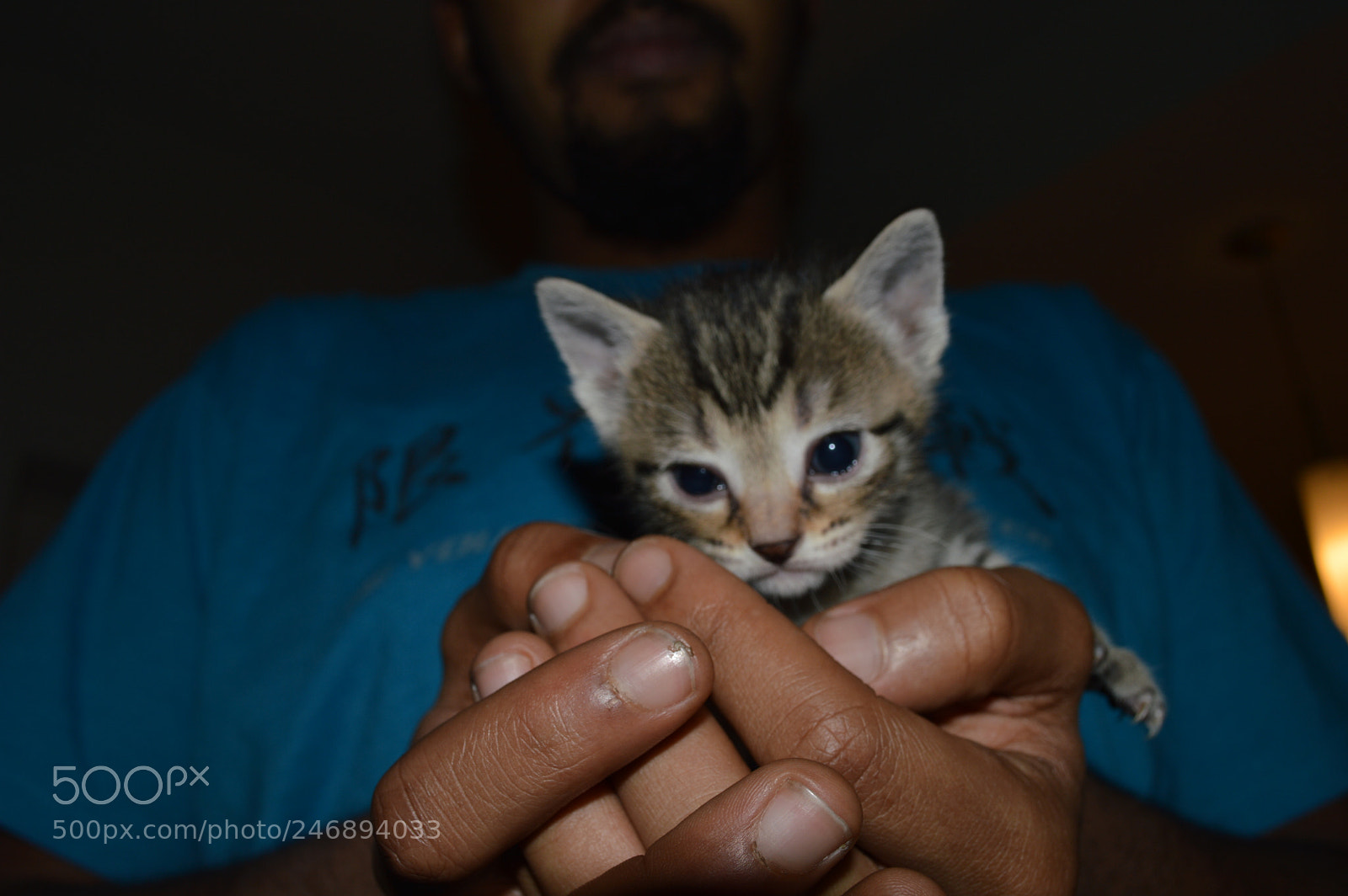 Nikon D3200 sample photo. Untitled photography