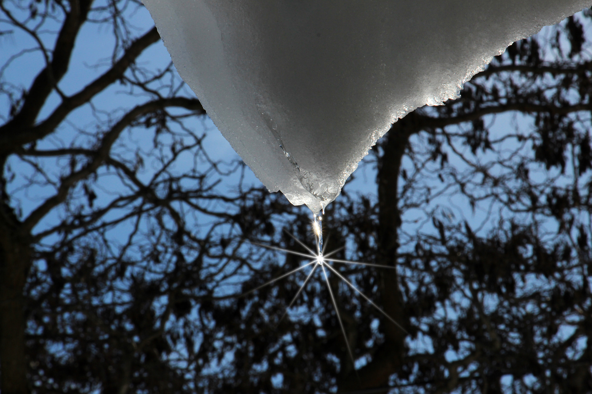 Canon EOS 700D (EOS Rebel T5i / EOS Kiss X7i) + Canon EF-S 18-135mm F3.5-5.6 IS STM sample photo. Sunlight on icicle photography