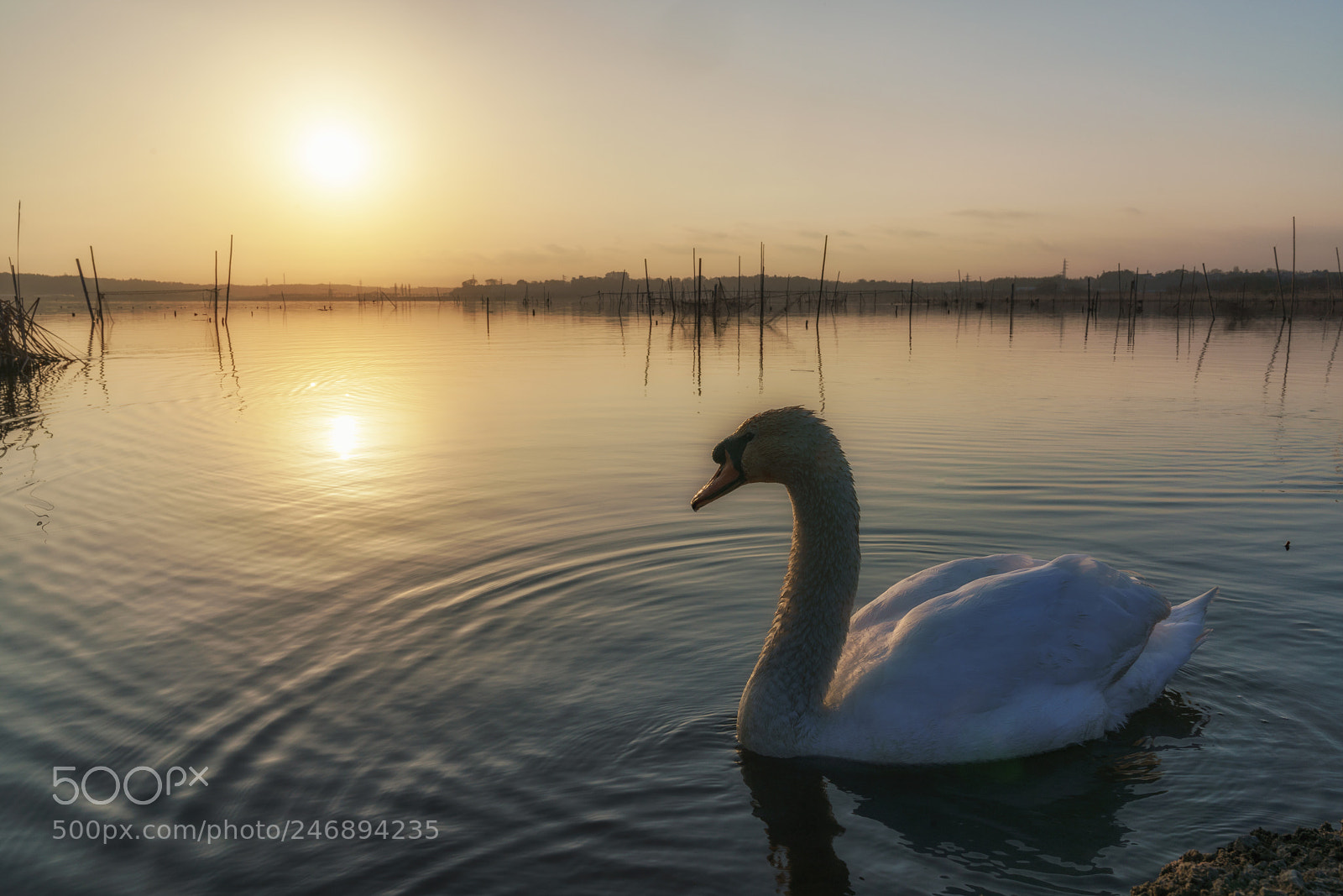 Sony a7R III sample photo. Peaceful morning photography