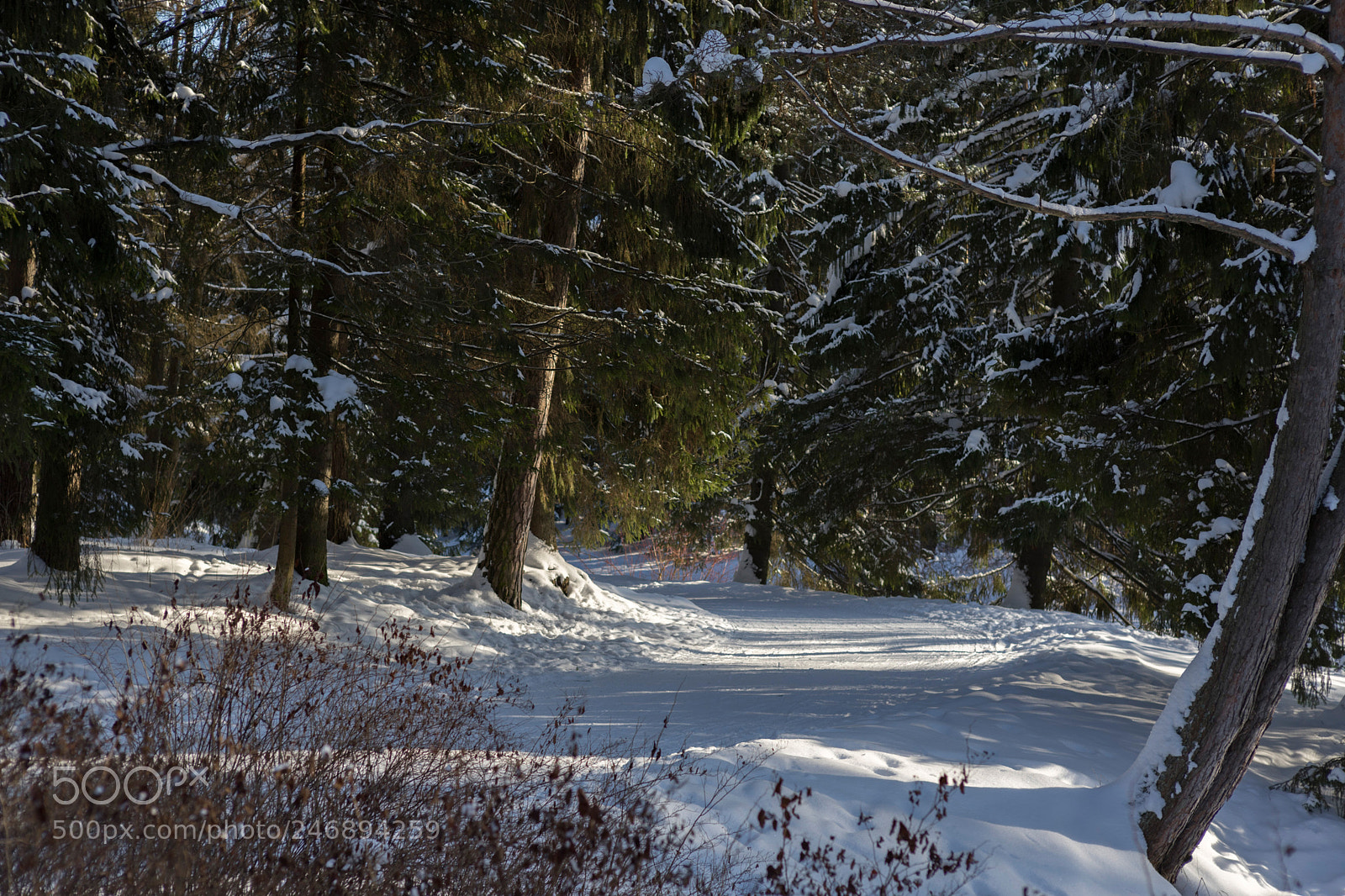 Sony a7 II sample photo. *** photography