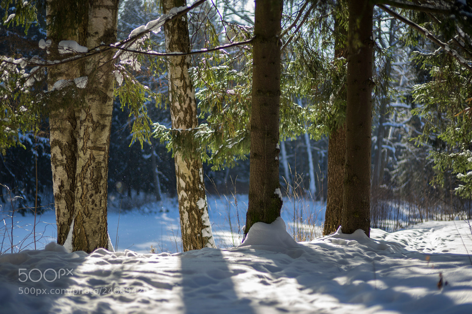 Sony a7 II sample photo. *** photography