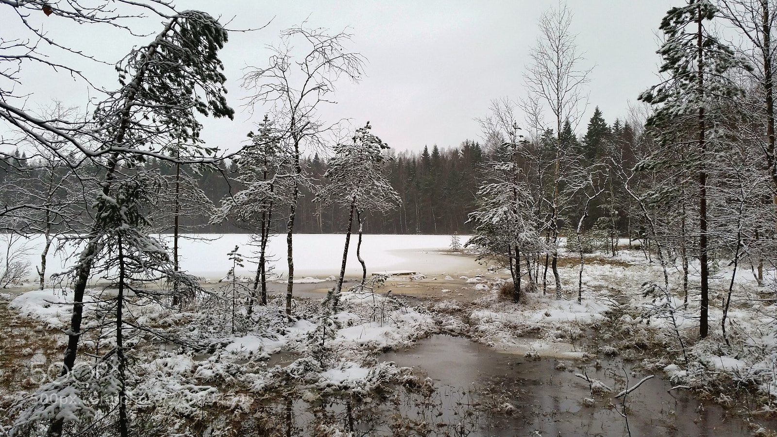 Samsung Galaxy S5 sample photo. Bisa lake, early winter photography