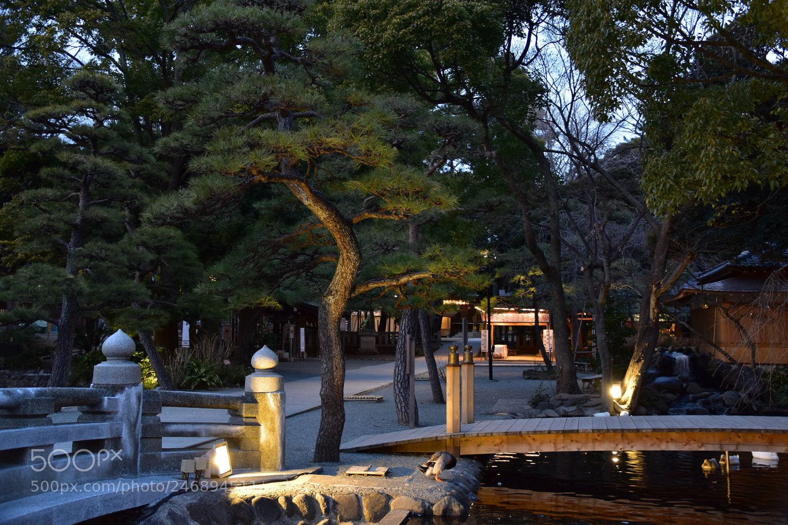 Nikon D5600 sample photo. Japan photography