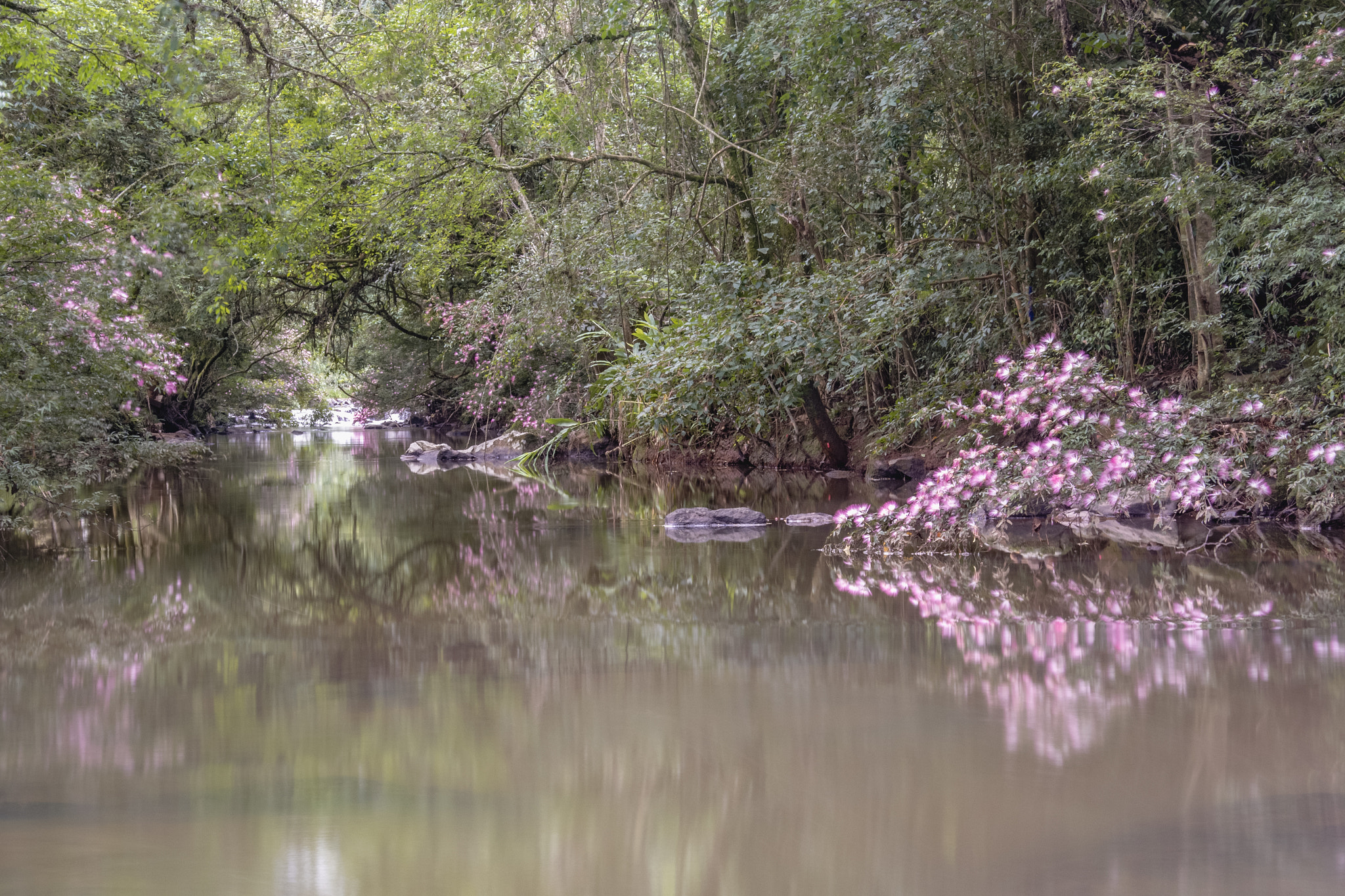 Samsung NX1000 sample photo. Rs farropilha photography