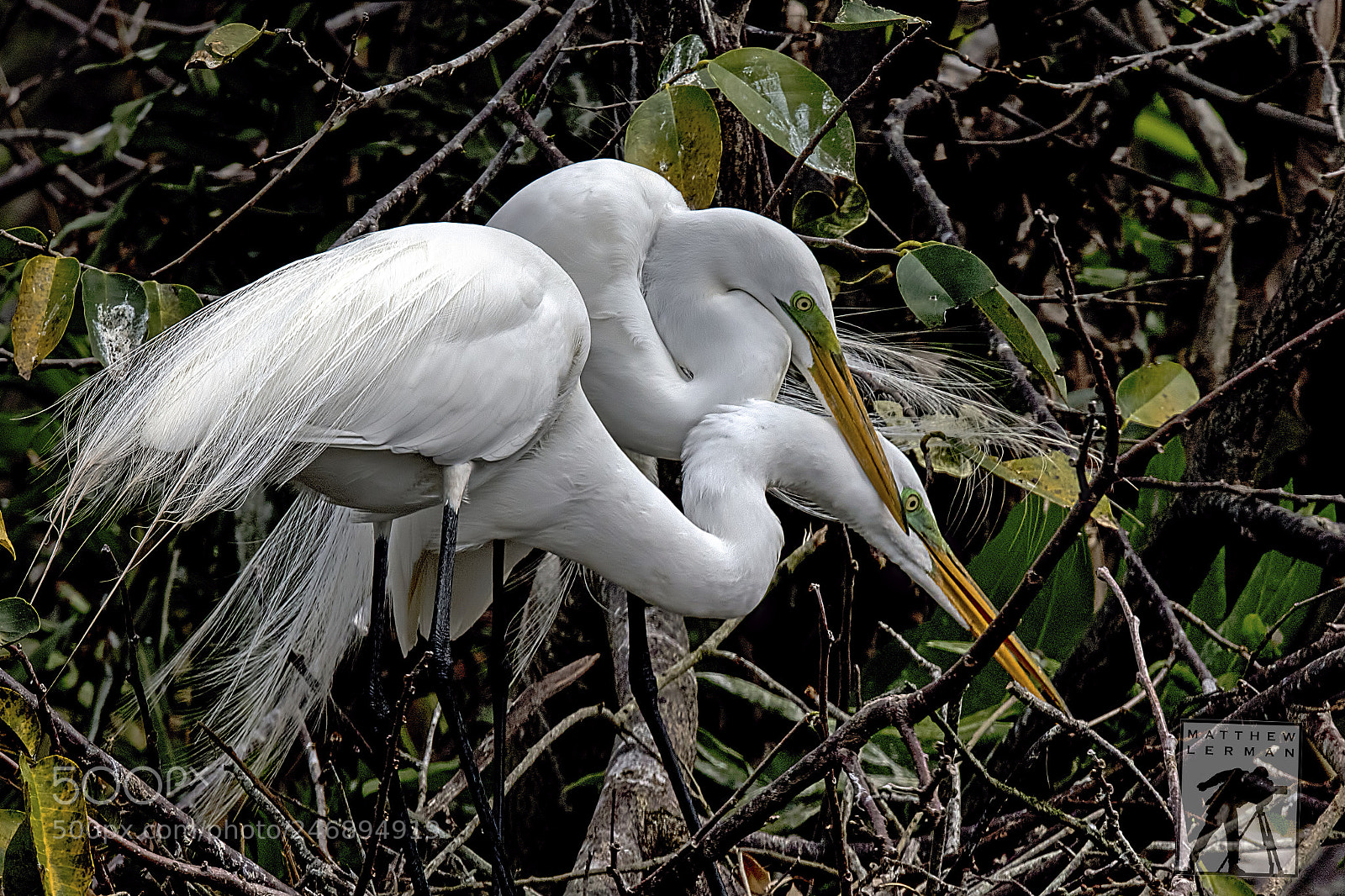 Nikon D810 sample photo. Couple photography