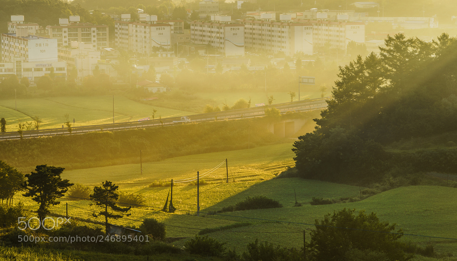 Sony a7R II sample photo. Morning light 2 photography