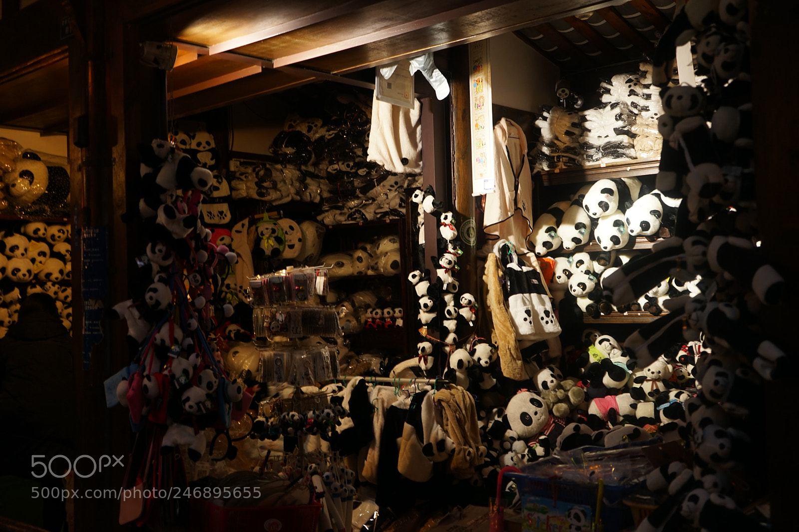 Sony a7 II sample photo. So many pandas photography