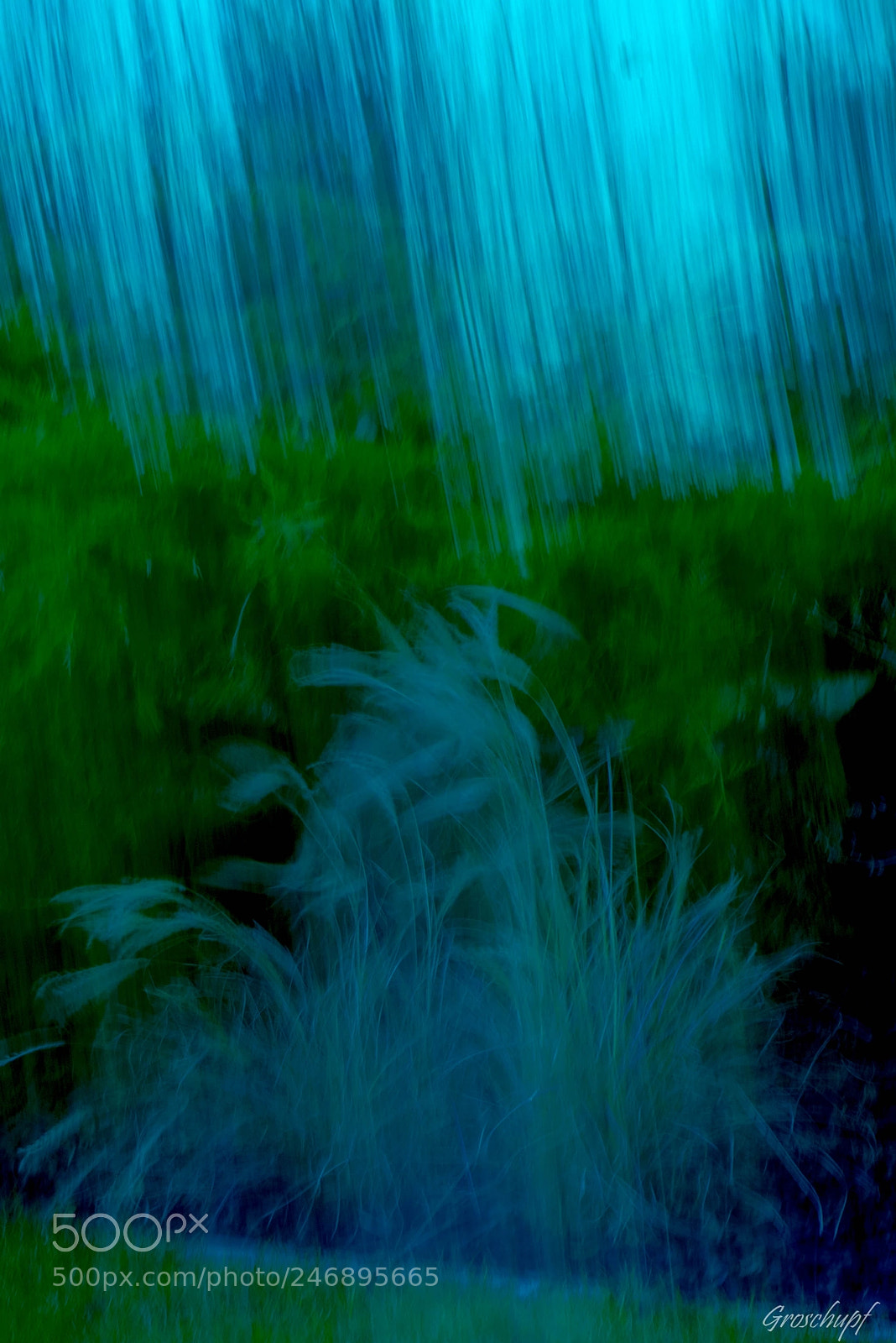 Nikon D600 sample photo. The garden photography